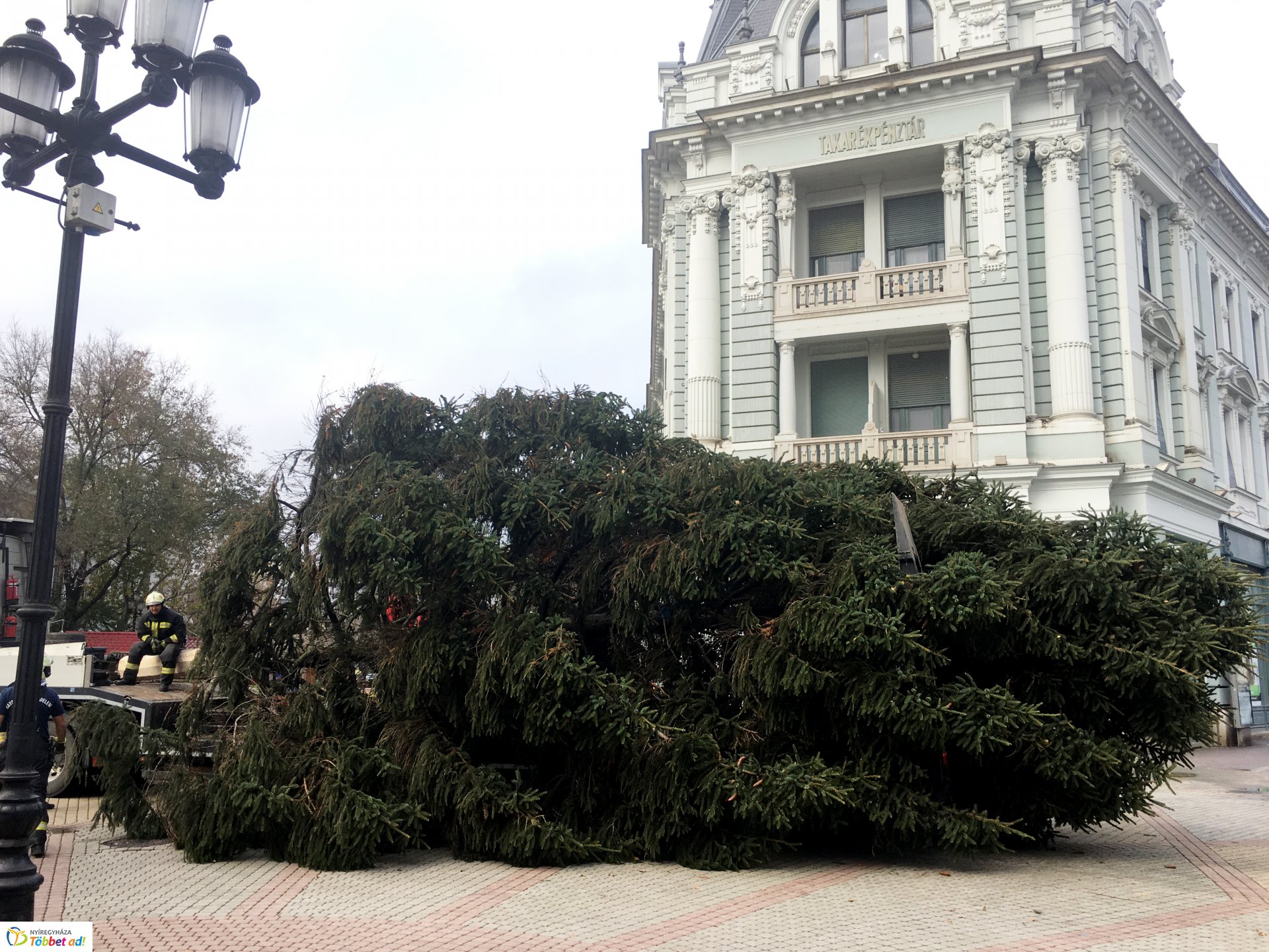 Megérkezett a város karácsonyfája - 2019