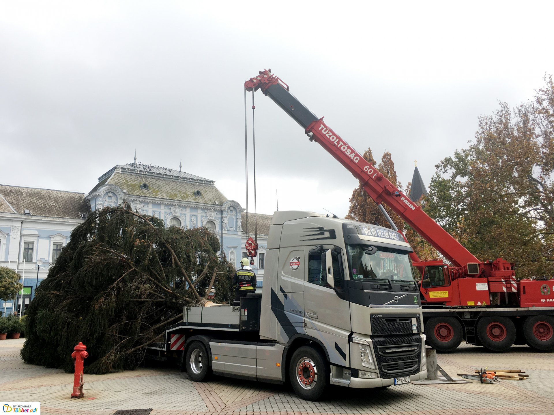 Megérkezett a város karácsonyfája - 2019