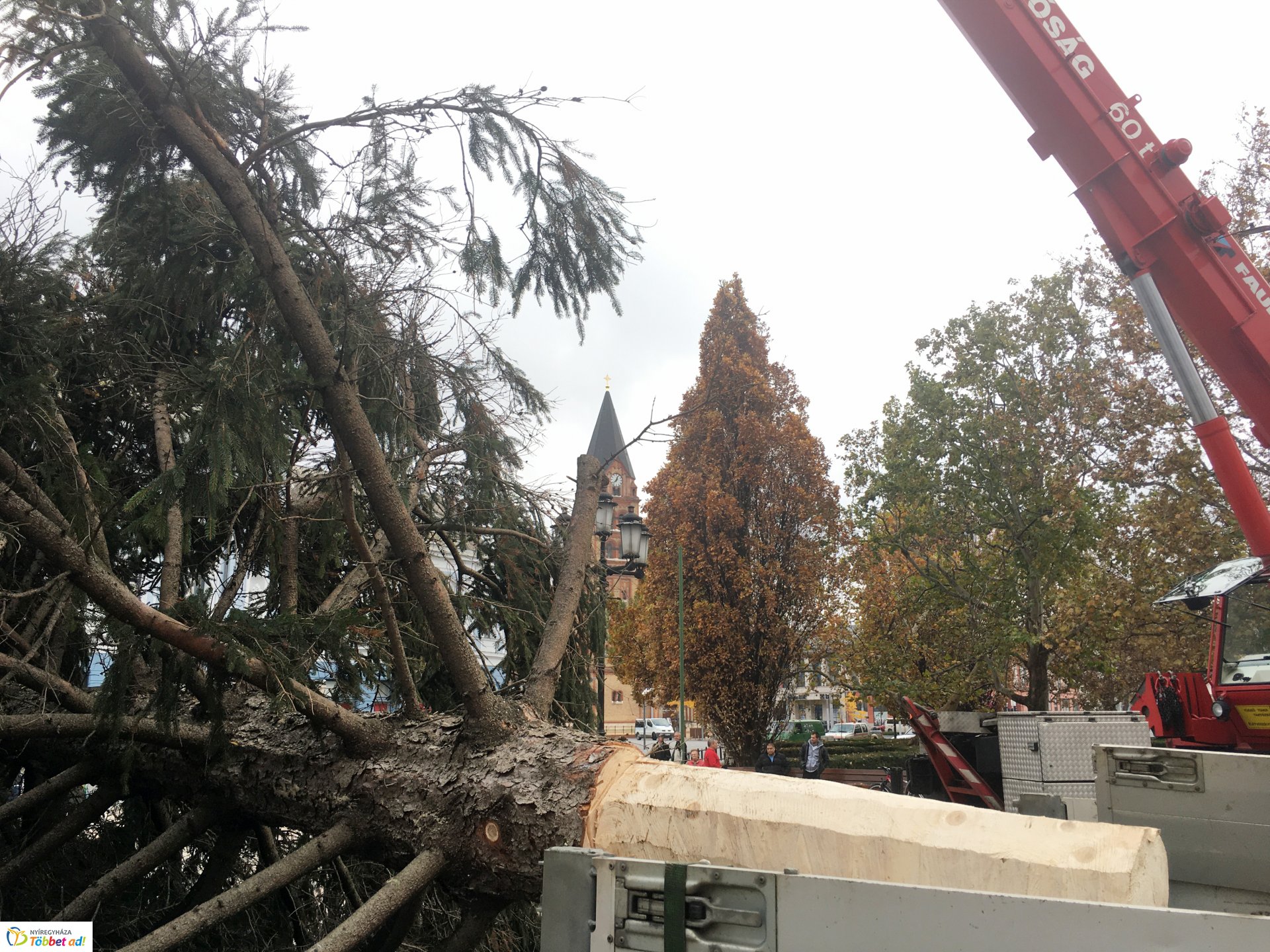 Megérkezett a város karácsonyfája - 2019