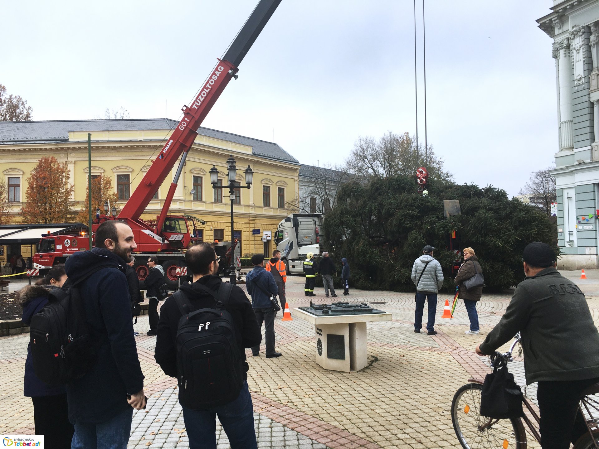 Megérkezett a város karácsonyfája - 2019