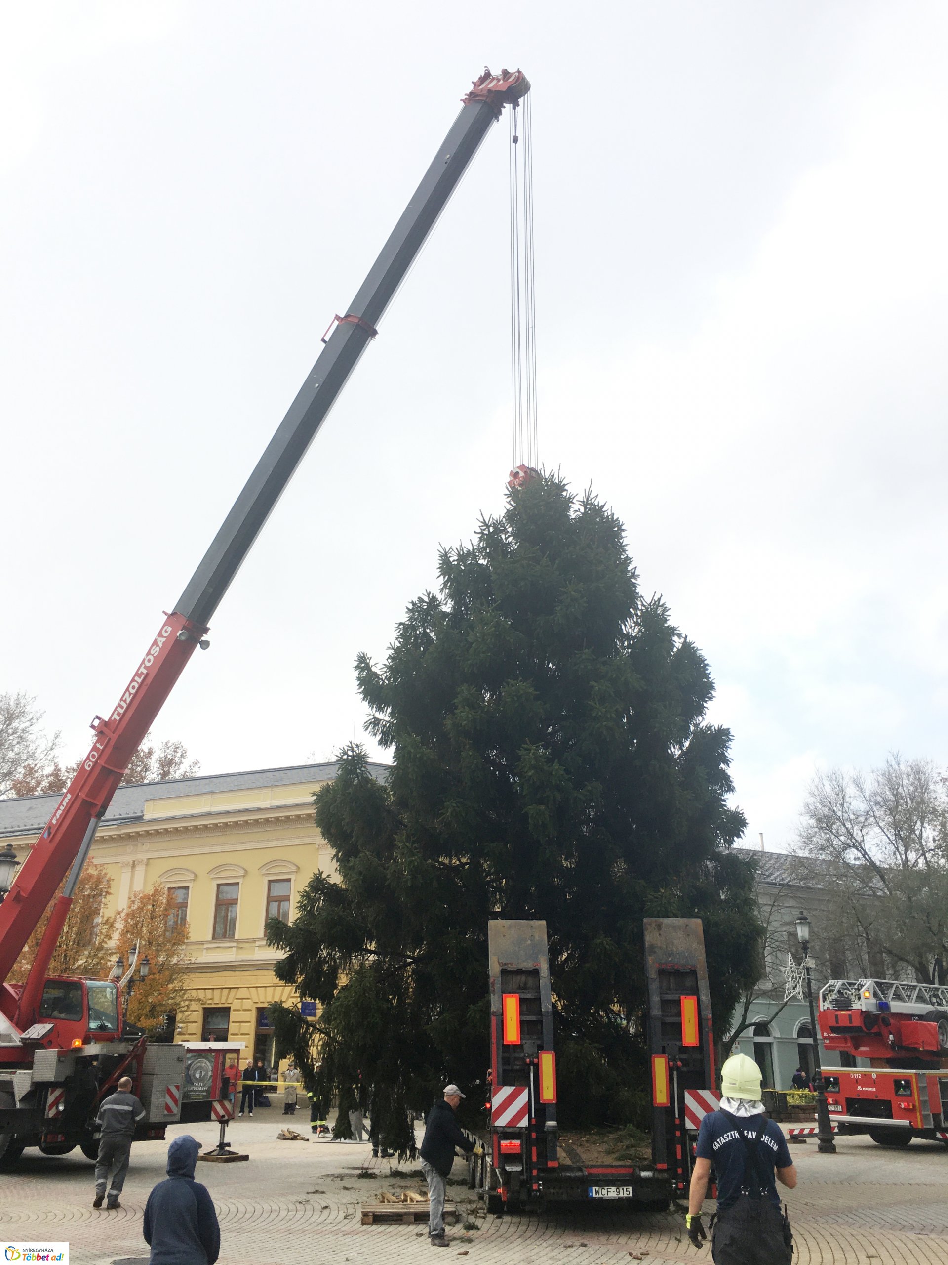Megérkezett a város karácsonyfája - 2019