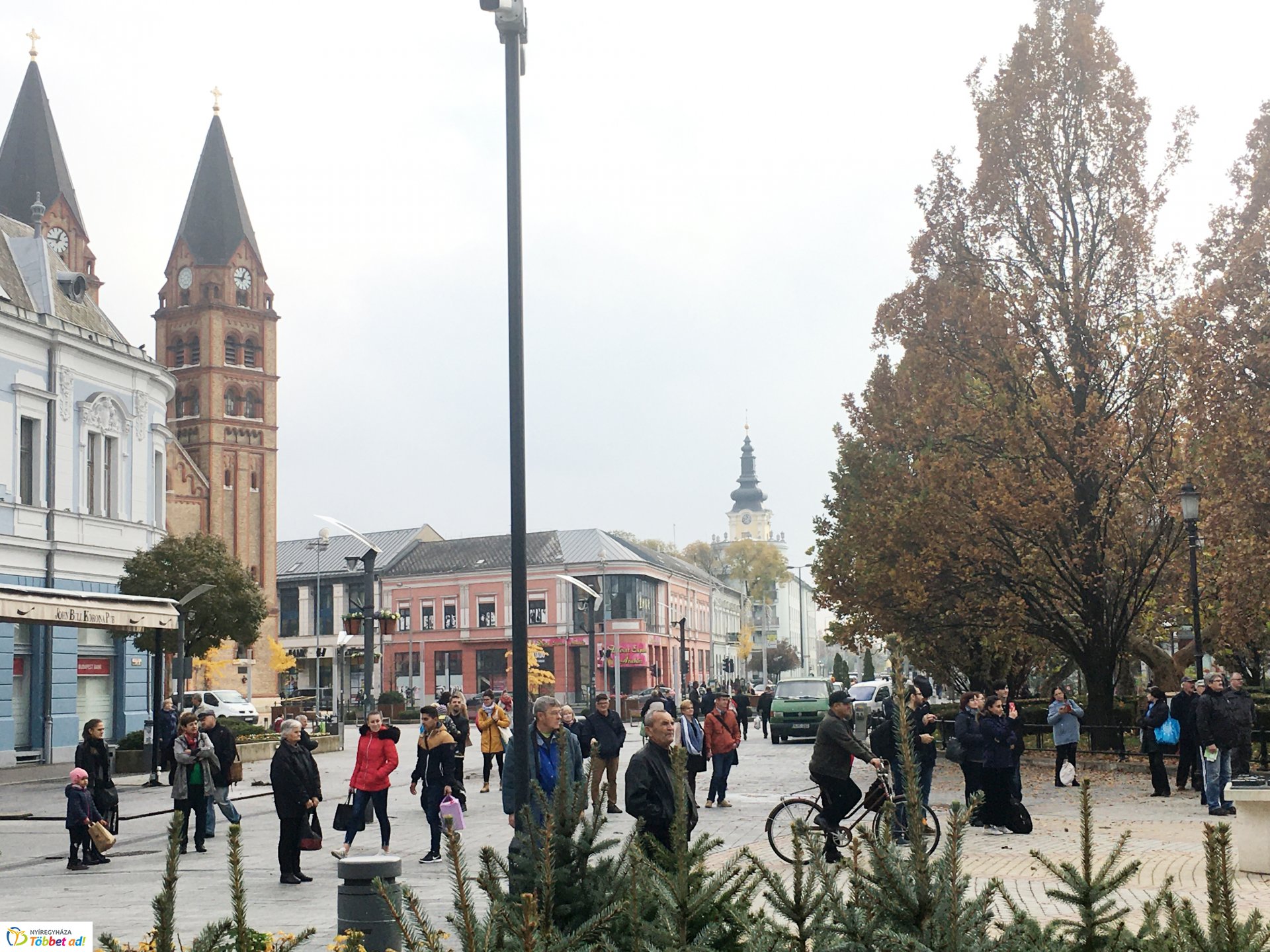 Megérkezett a város karácsonyfája - 2019
