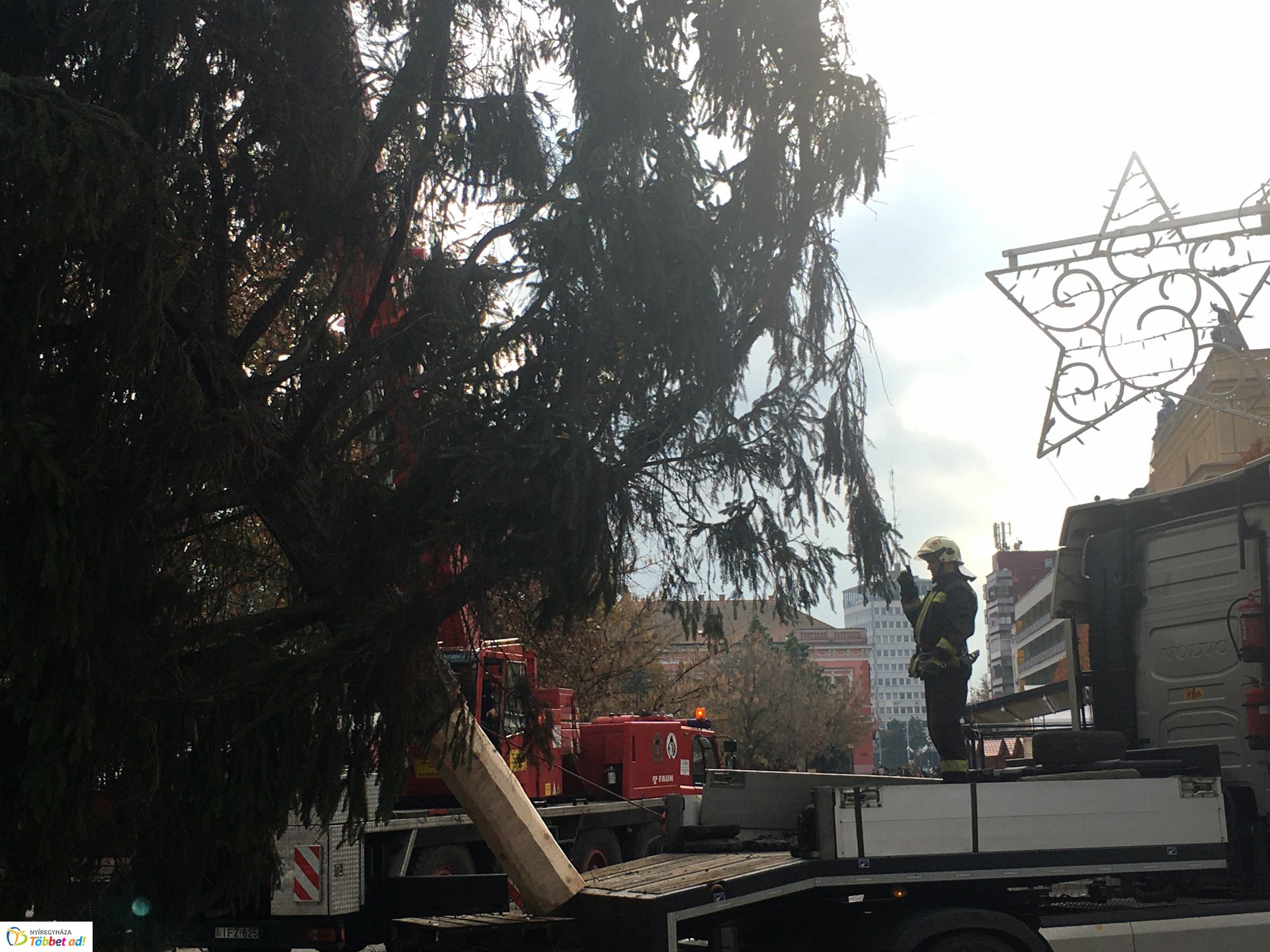 Megérkezett a város karácsonyfája - 2019