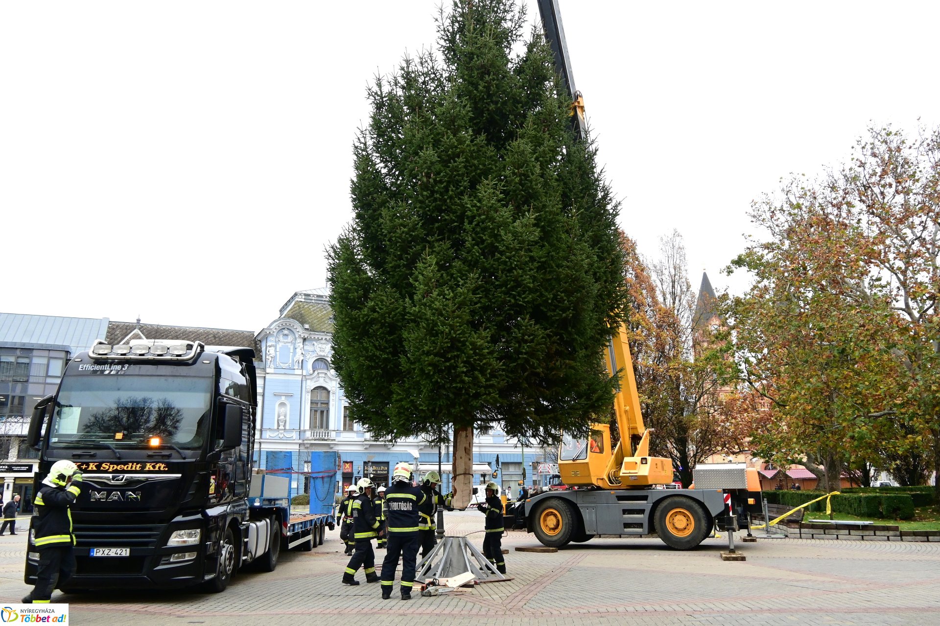 Megérkezett a város karácsonyfája a Kossuth térre