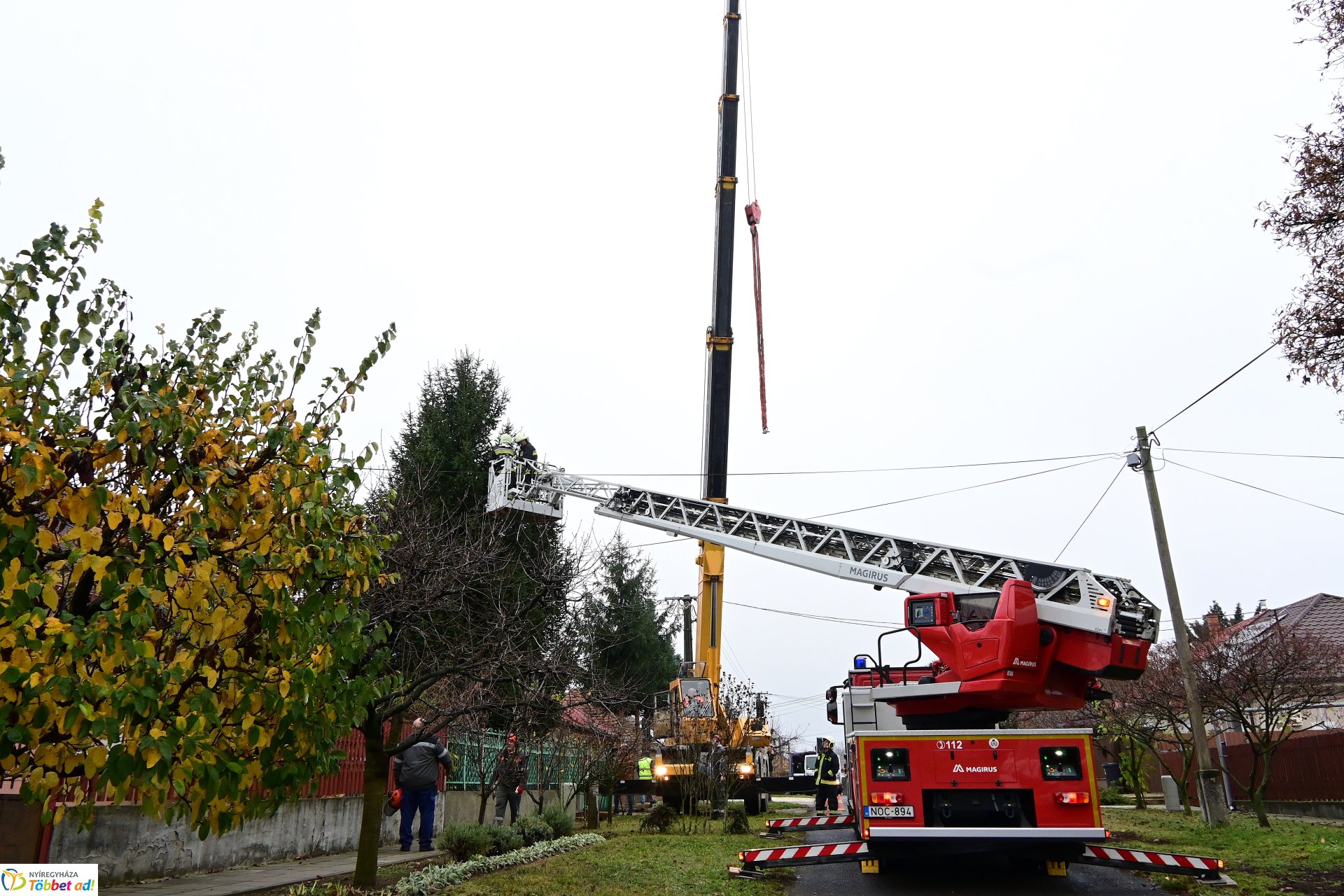 Megérkezett a város karácsonyfája a Kossuth térre