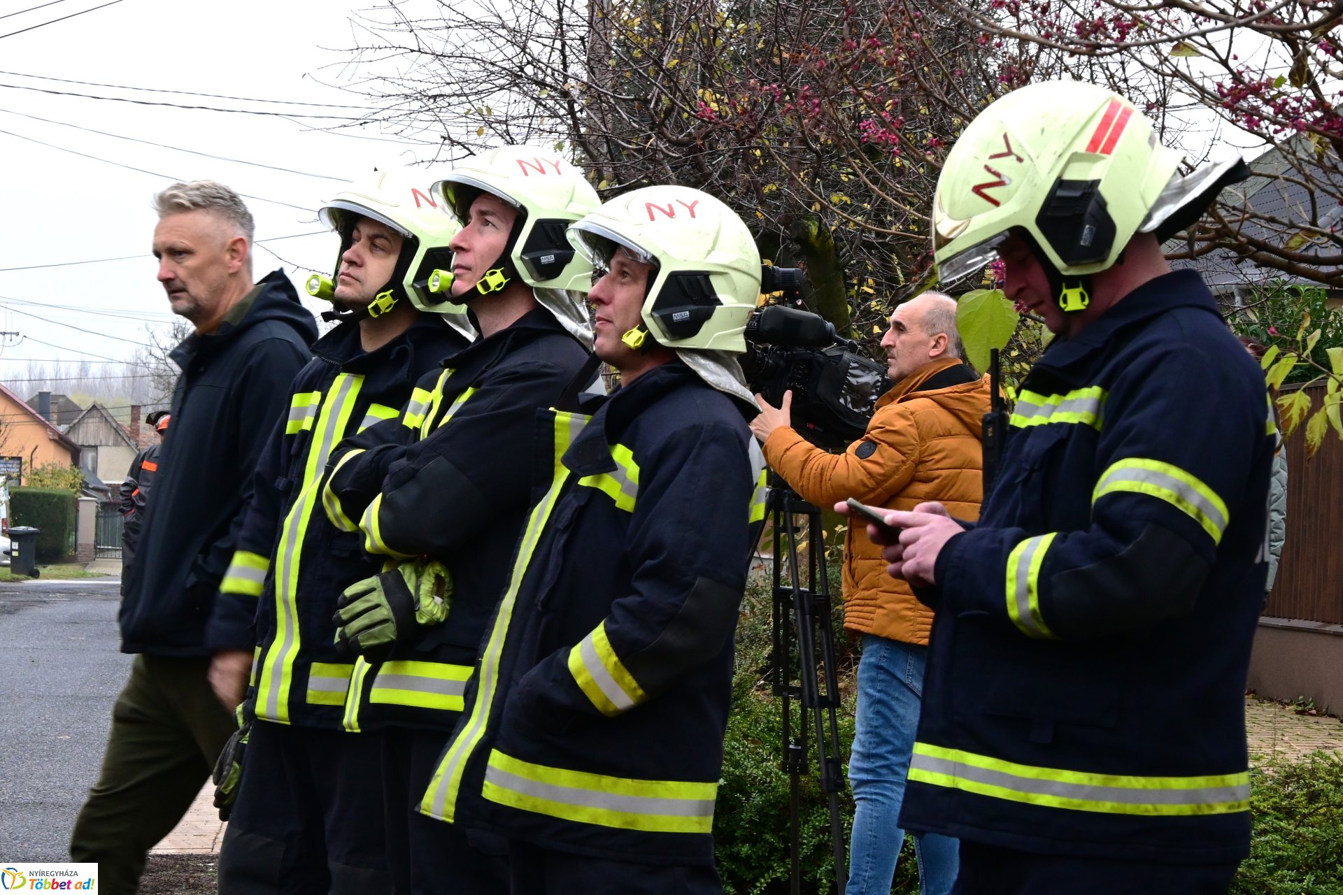 Megérkezett a város karácsonyfája a Kossuth térre