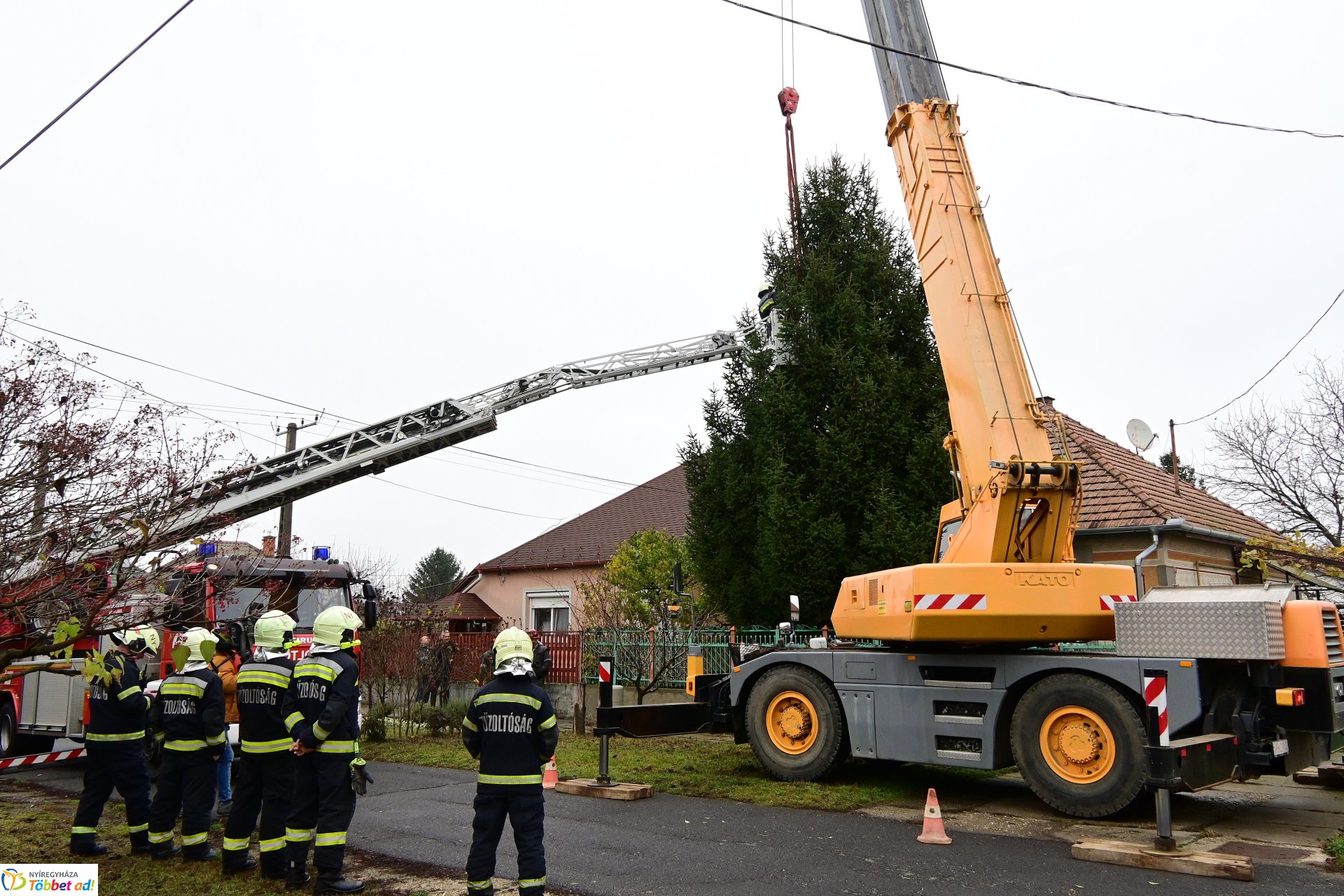 Megérkezett a város karácsonyfája a Kossuth térre