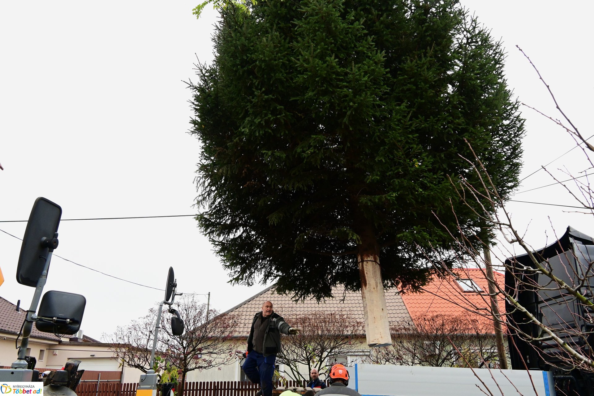 Megérkezett a város karácsonyfája a Kossuth térre