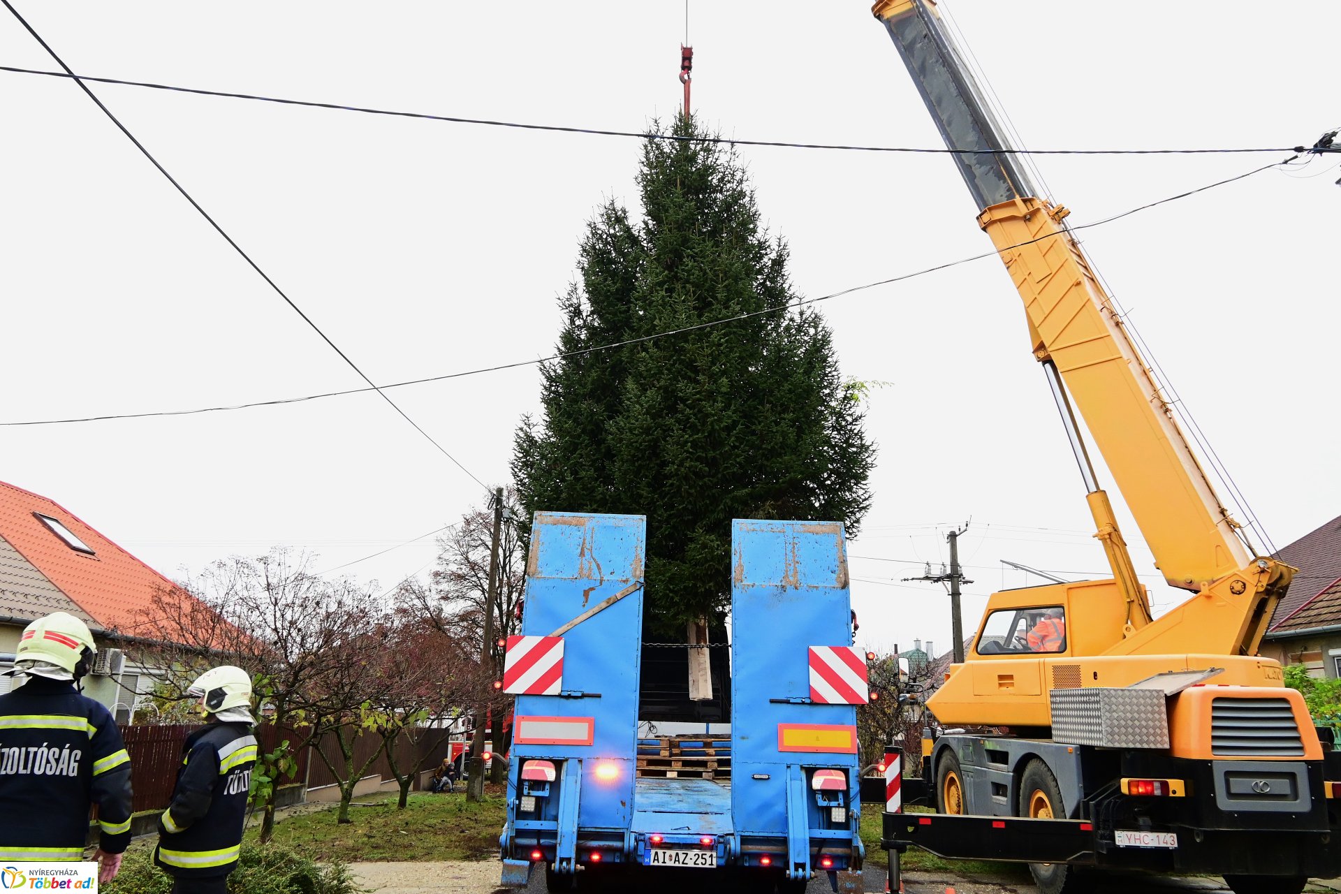 Megérkezett a város karácsonyfája a Kossuth térre