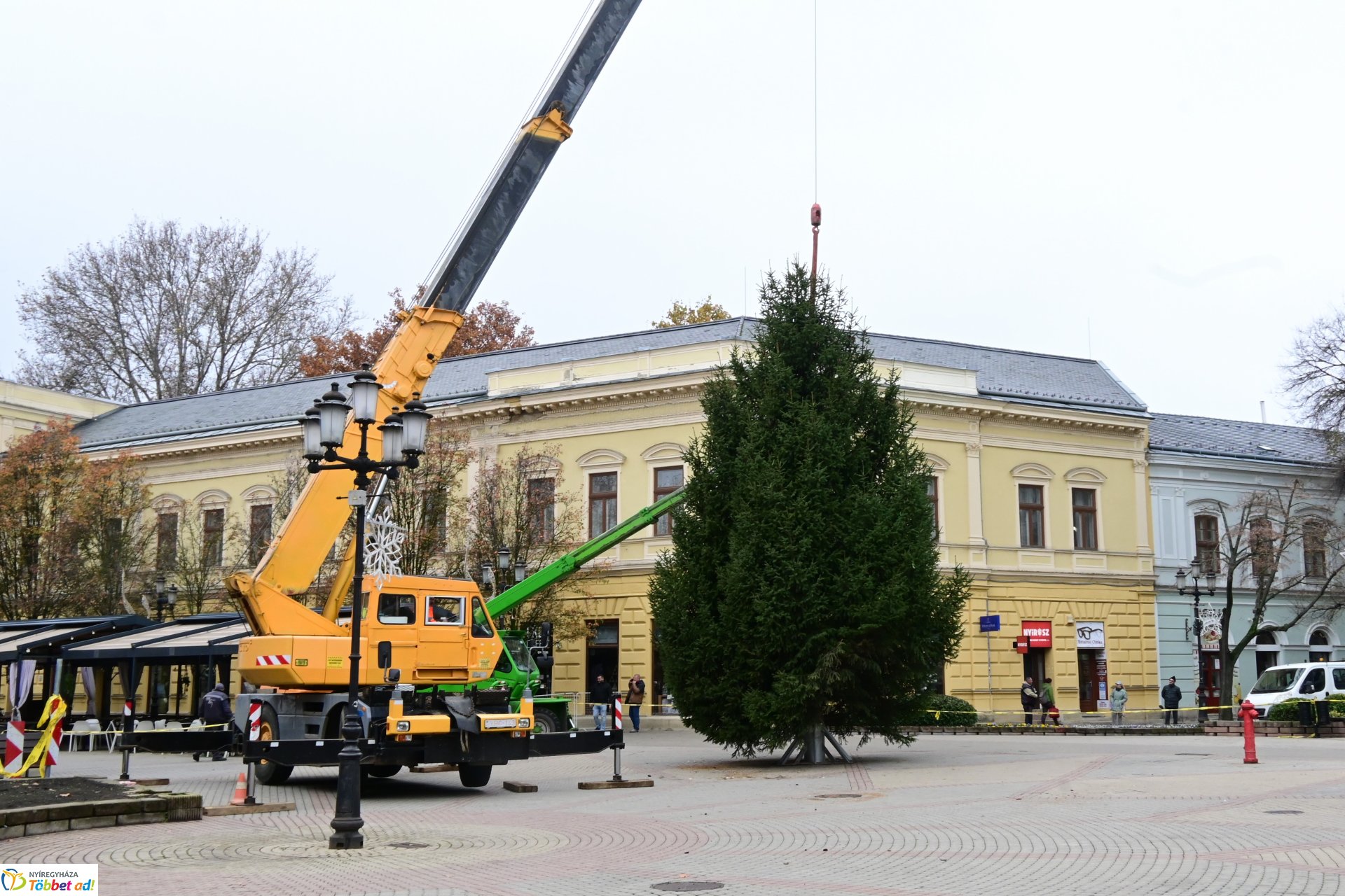 Megérkezett a város karácsonyfája a Kossuth térre