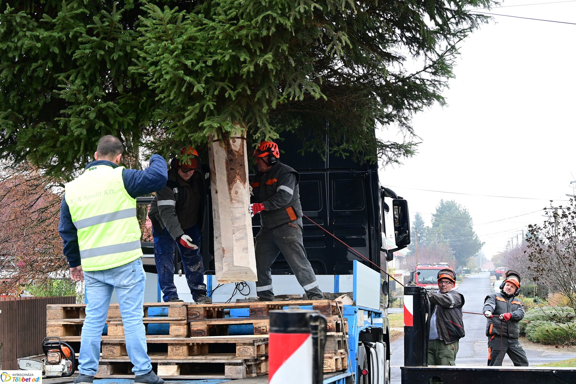 Megérkezett a város karácsonyfája a Kossuth térre