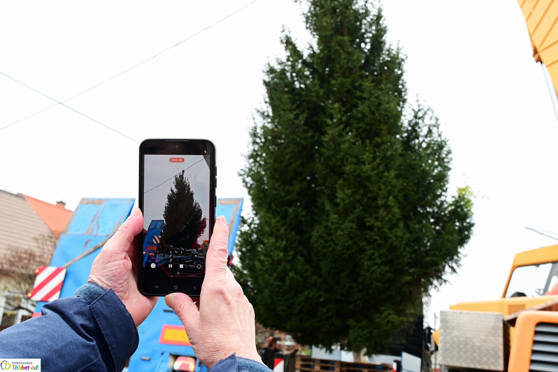 Megérkezett a város karácsonyfája a Kossuth térre