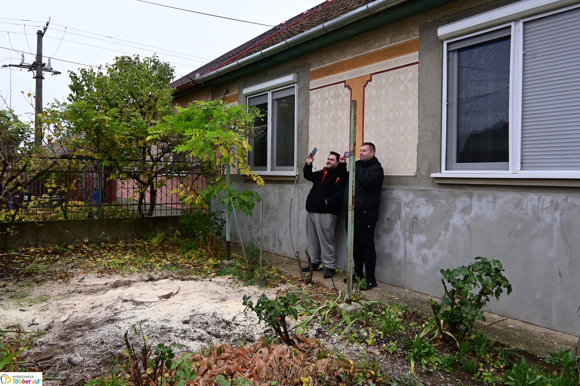 Megérkezett a város karácsonyfája a Kossuth térre