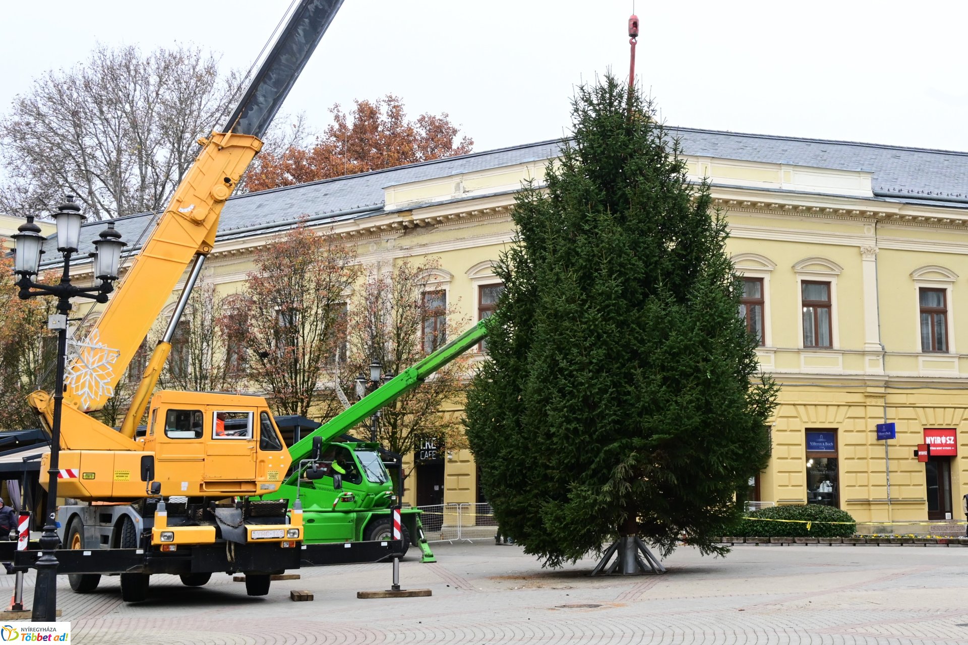 Megérkezett a város karácsonyfája a Kossuth térre