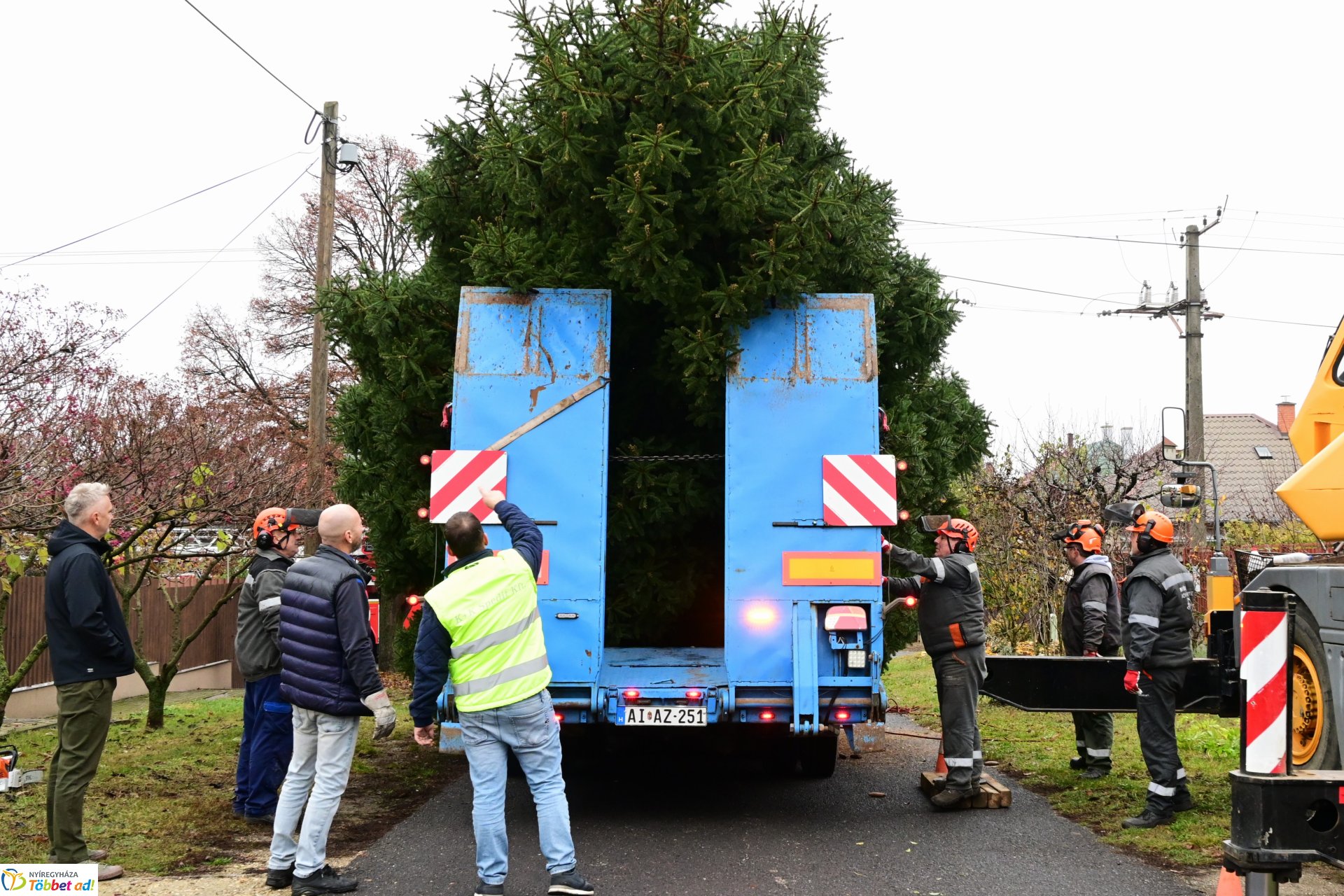 Megérkezett a város karácsonyfája a Kossuth térre