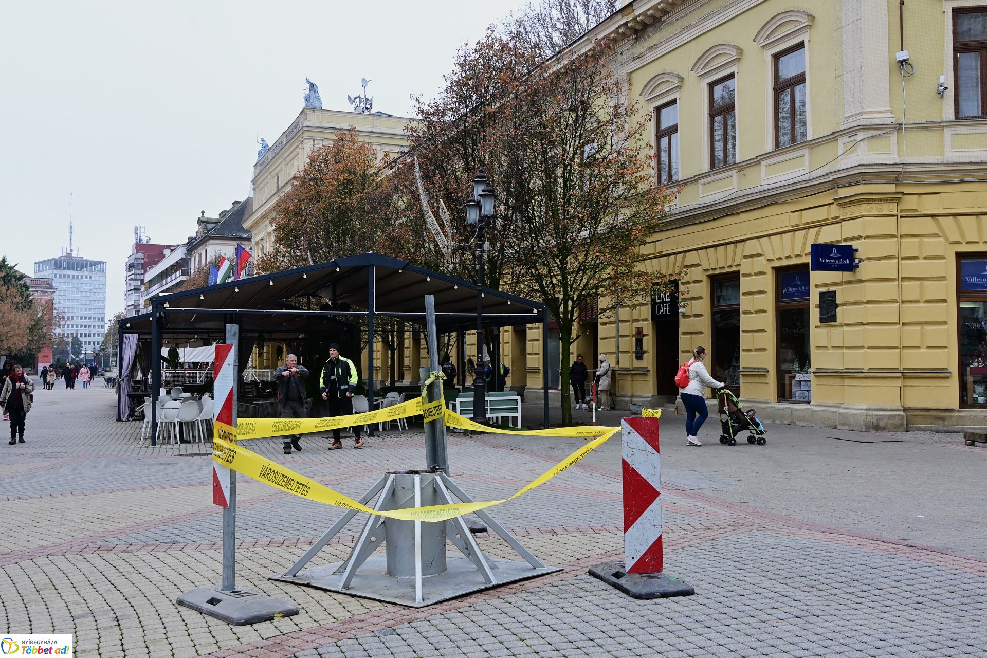 Megérkezett a város karácsonyfája a Kossuth térre