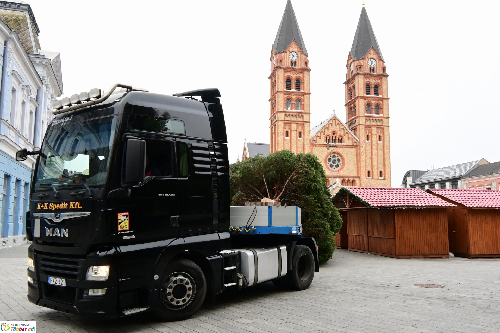 Megérkezett a város karácsonyfája a Kossuth térre