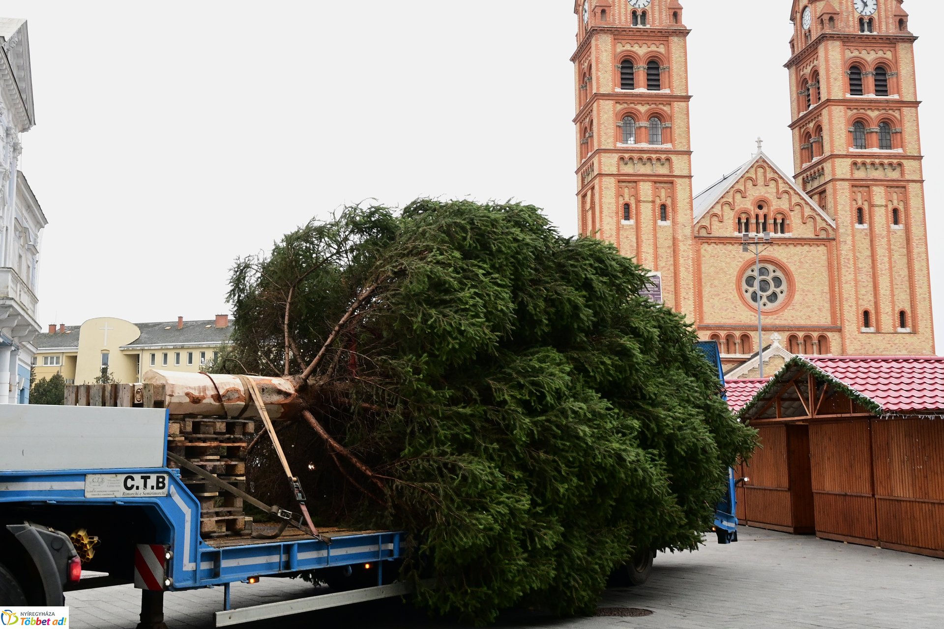 Megérkezett a város karácsonyfája a Kossuth térre