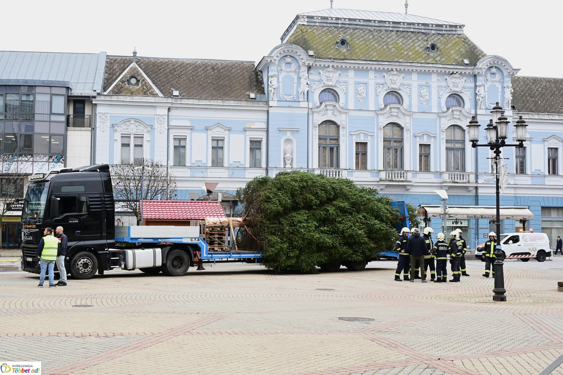 Megérkezett a város karácsonyfája a Kossuth térre