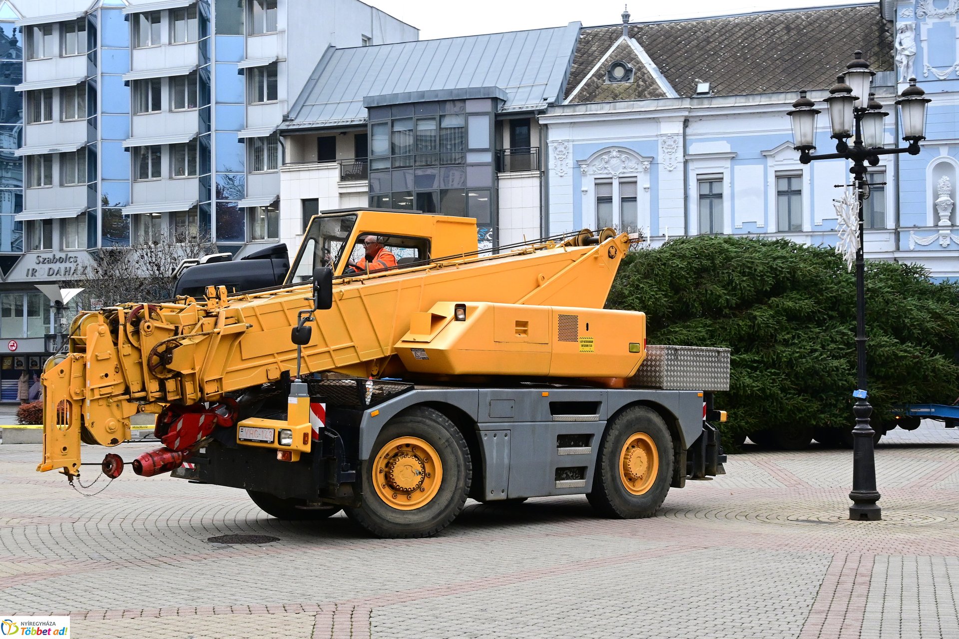 Megérkezett a város karácsonyfája a Kossuth térre