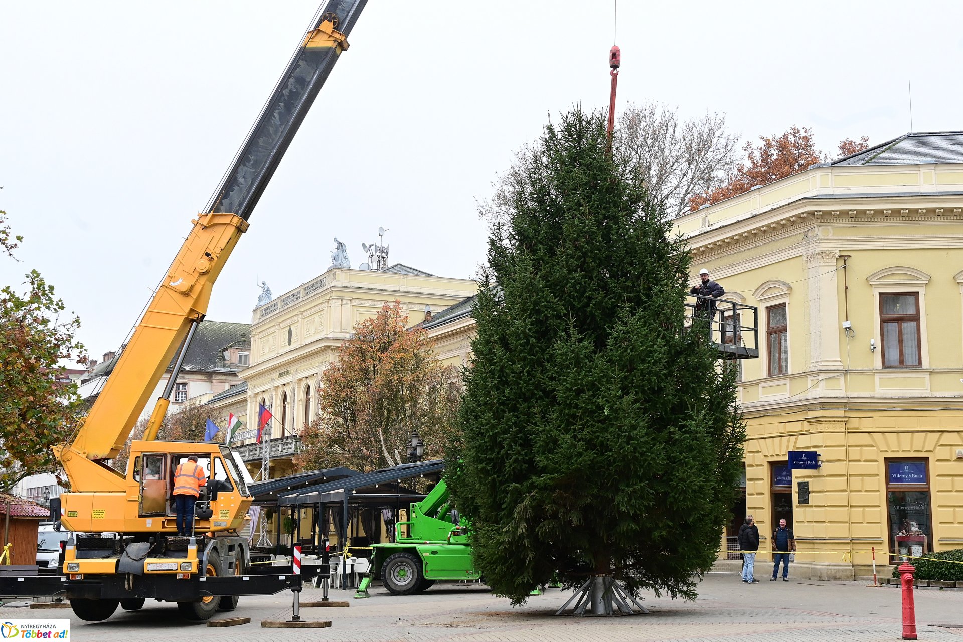 Megérkezett a város karácsonyfája a Kossuth térre