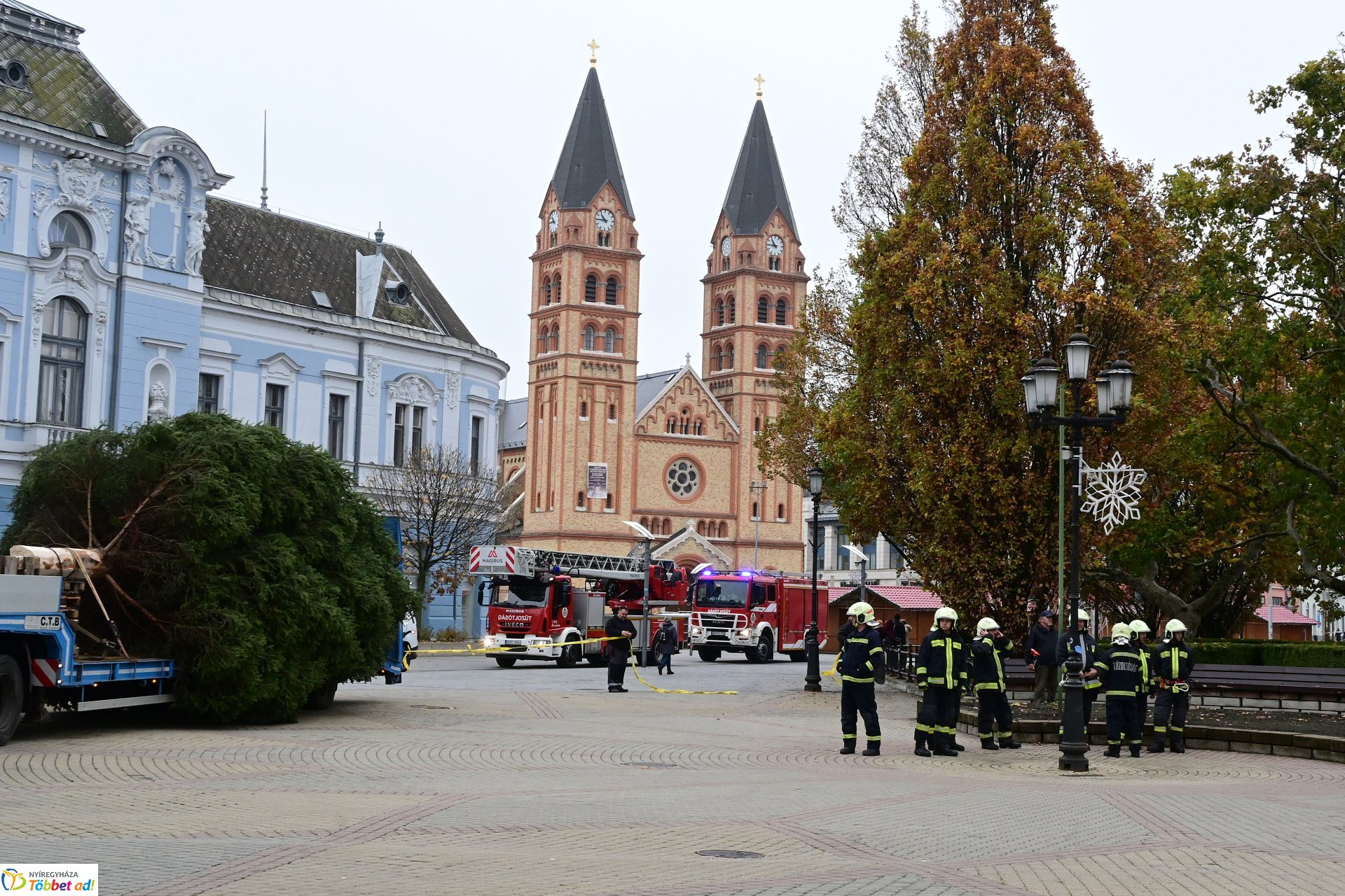 Megérkezett a város karácsonyfája a Kossuth térre