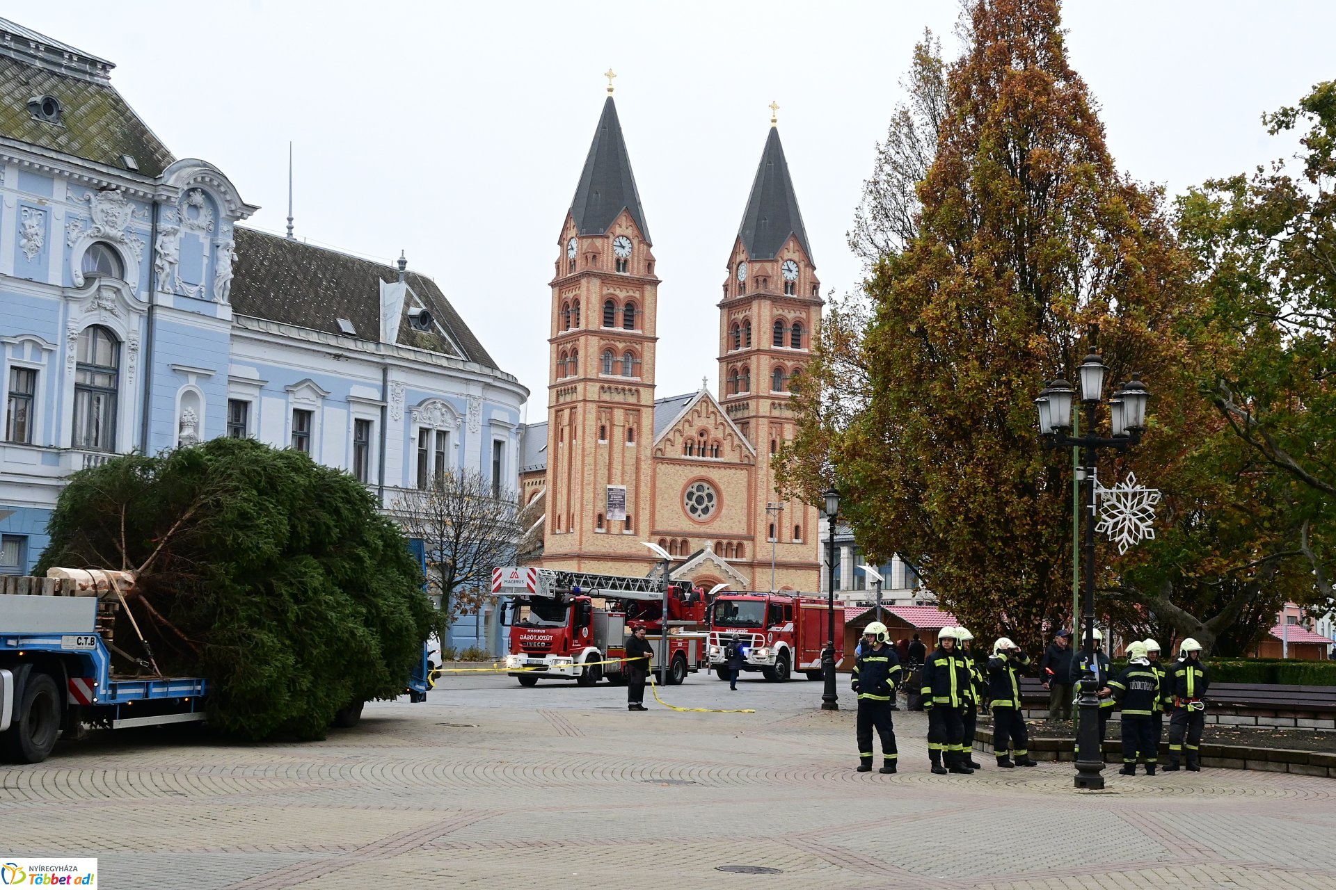 Megérkezett a város karácsonyfája a Kossuth térre