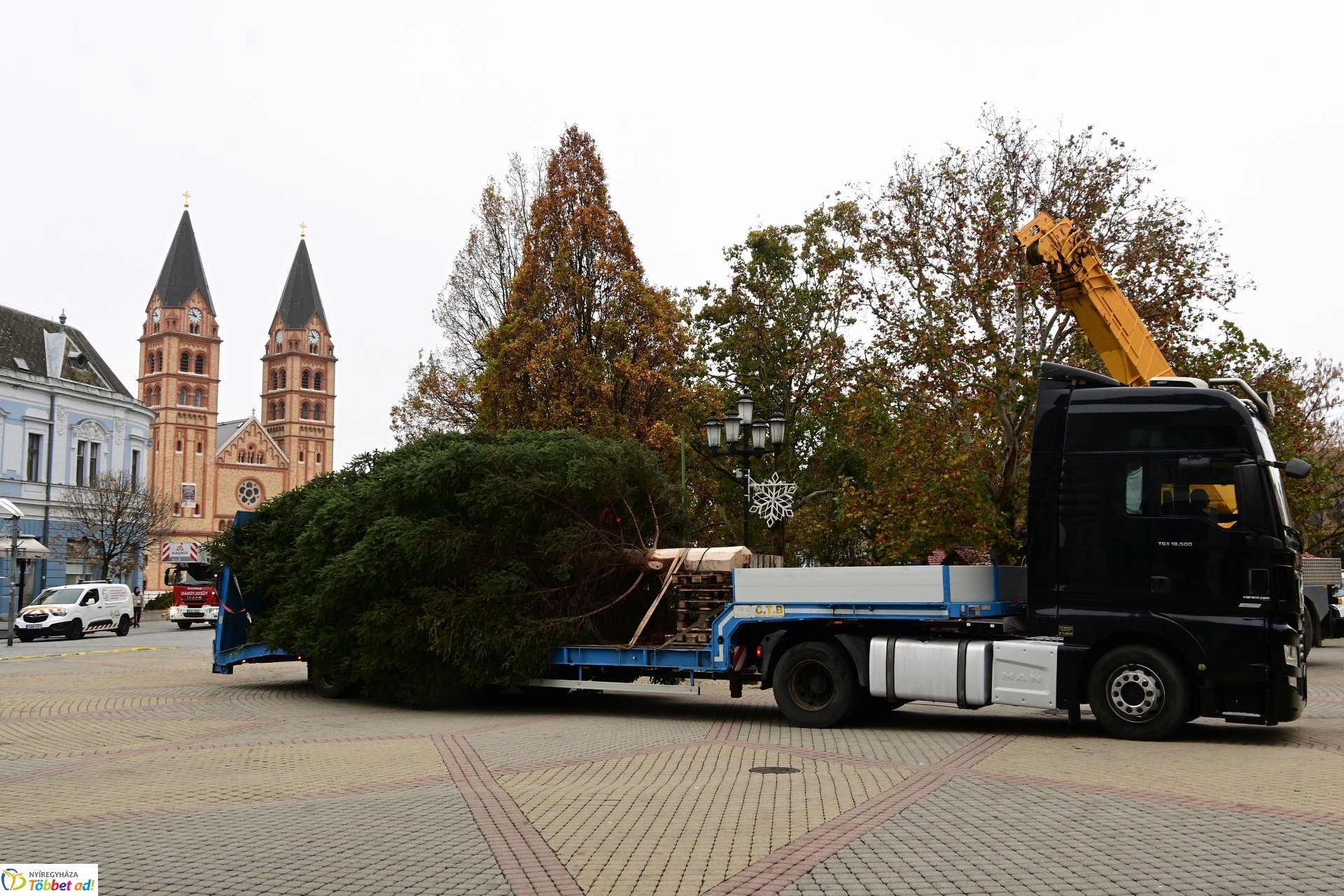 Megérkezett a város karácsonyfája a Kossuth térre