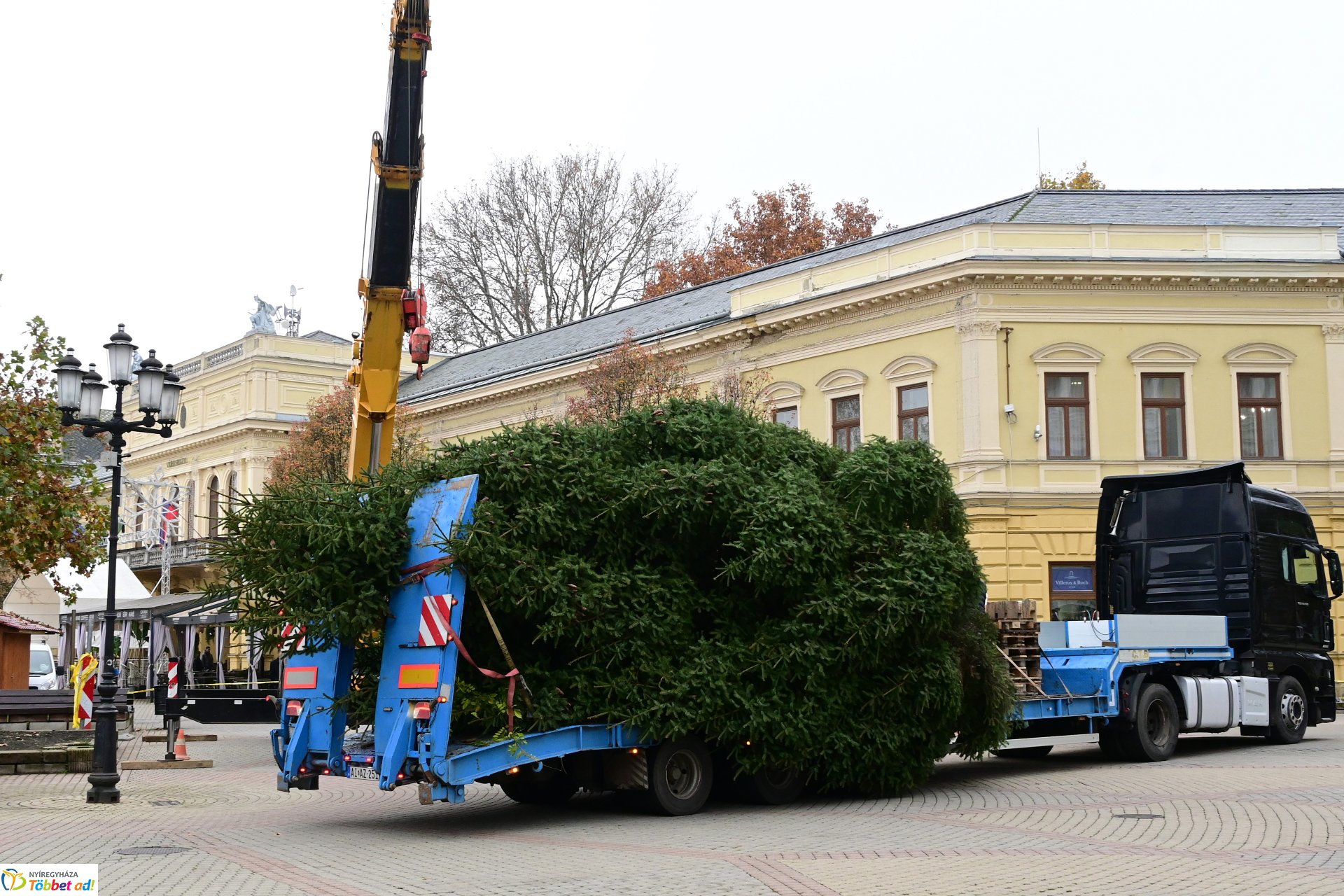 Megérkezett a város karácsonyfája a Kossuth térre