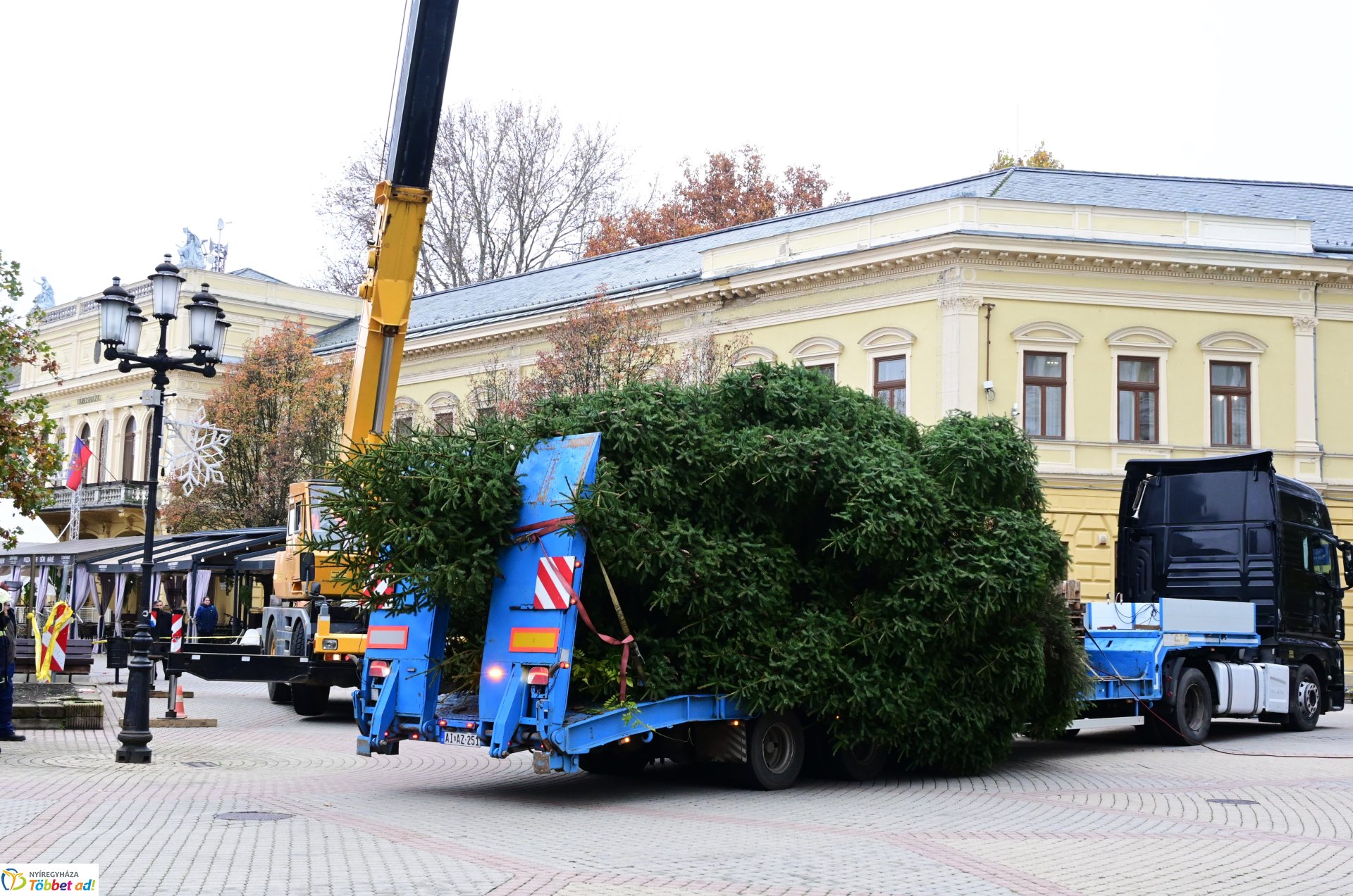 Megérkezett a város karácsonyfája a Kossuth térre