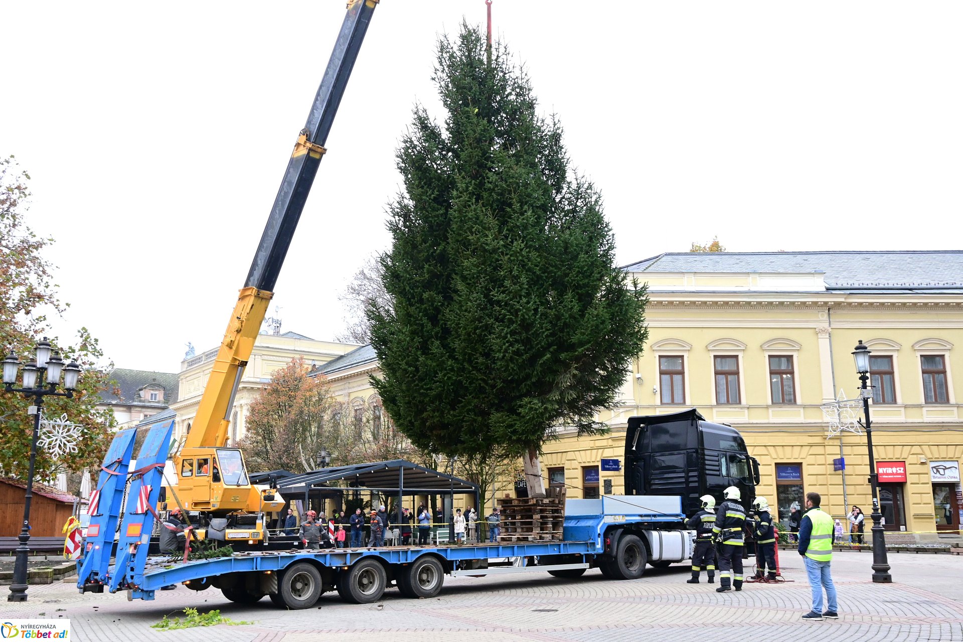 Megérkezett a város karácsonyfája a Kossuth térre