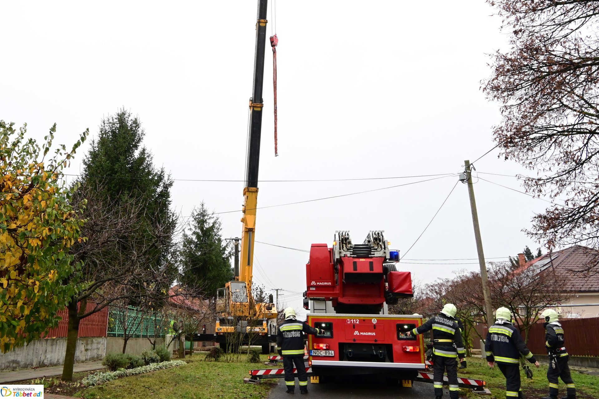 Megérkezett a város karácsonyfája a Kossuth térre