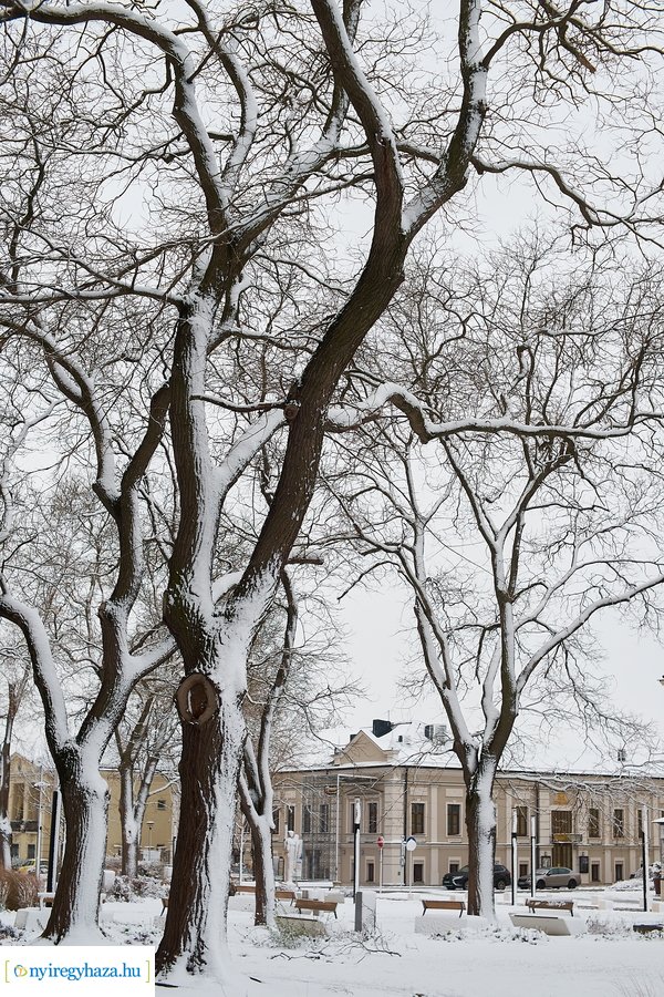 Megérkezett az első 20211213