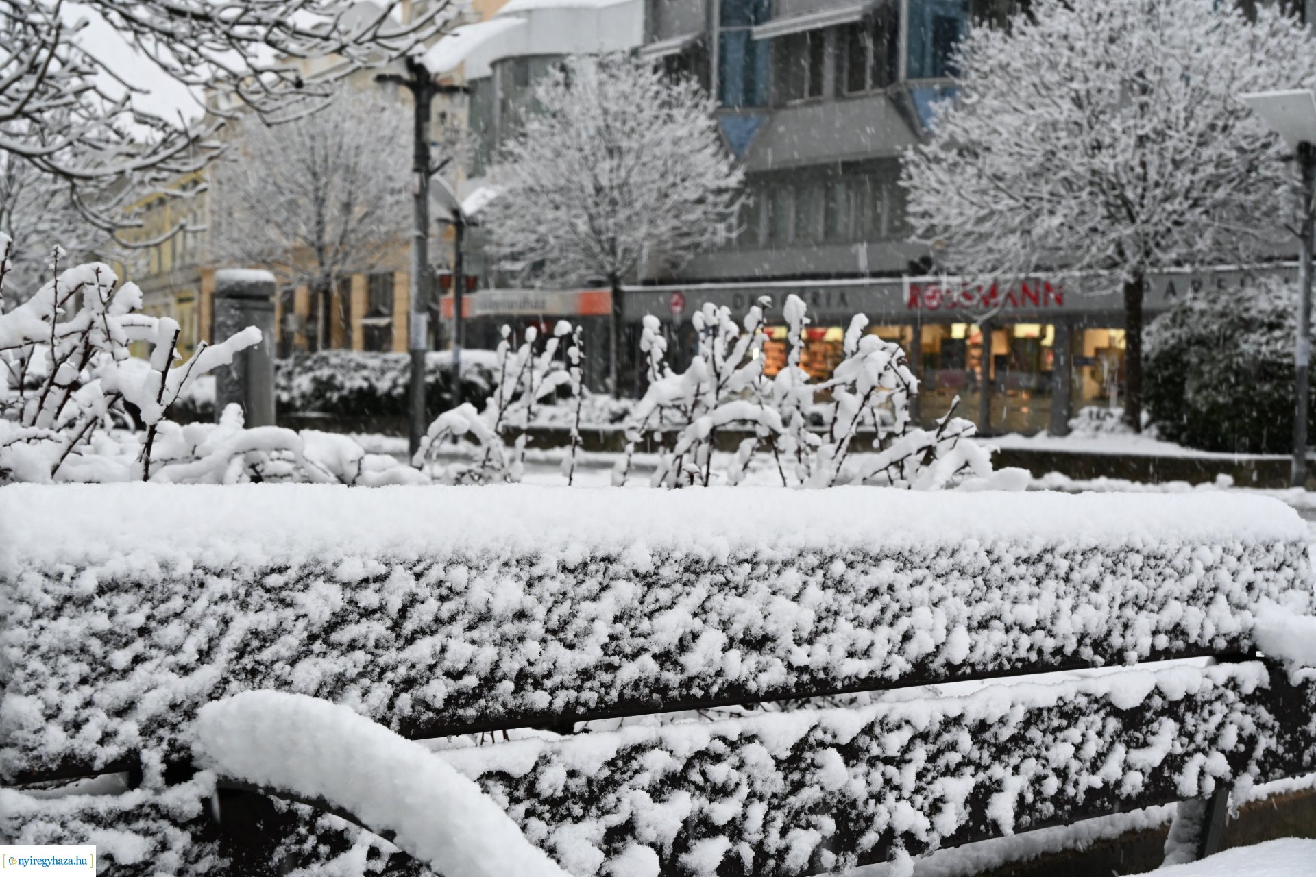 Megérkezett az első hó!