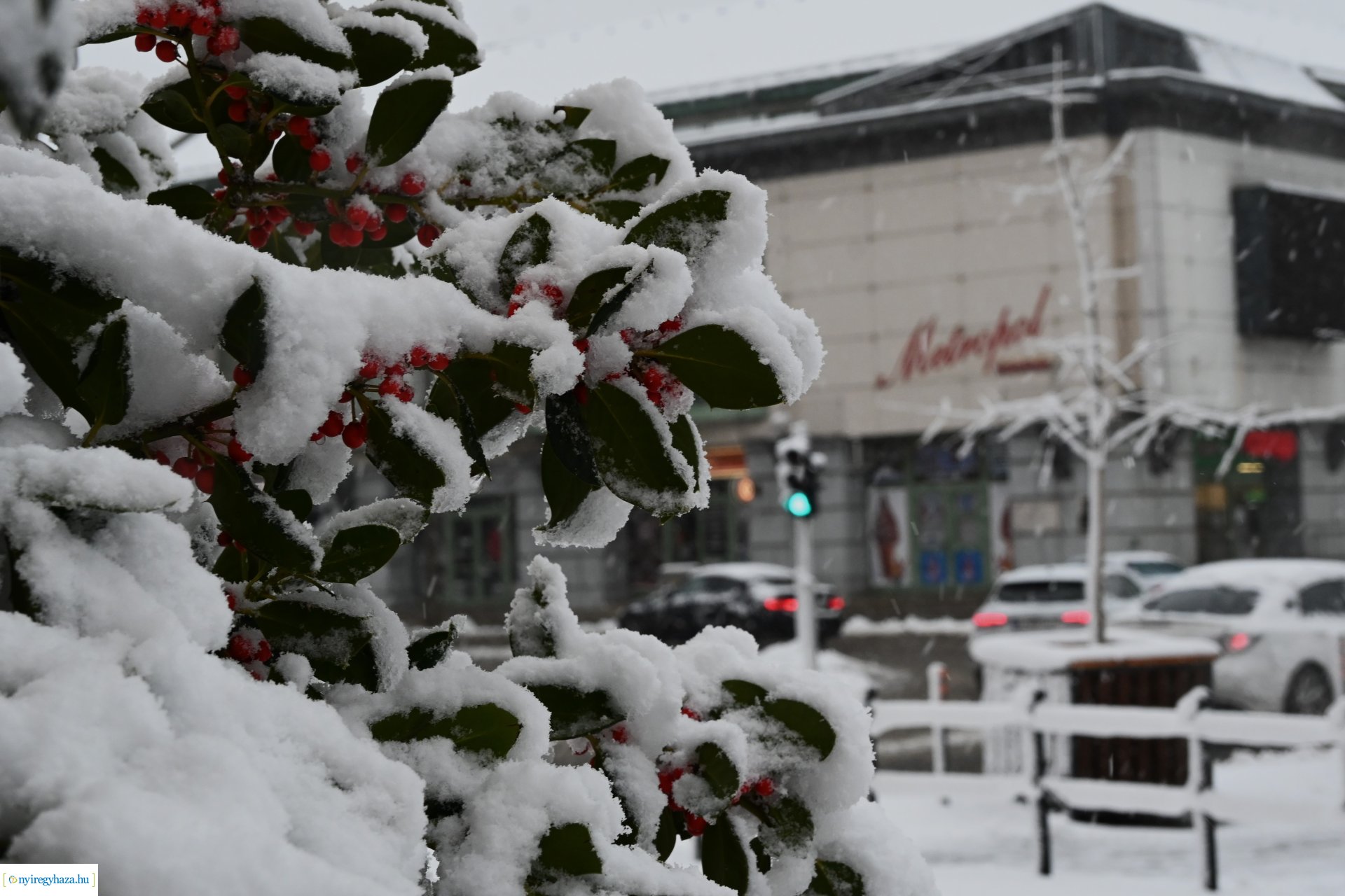 Megérkezett az első hó!