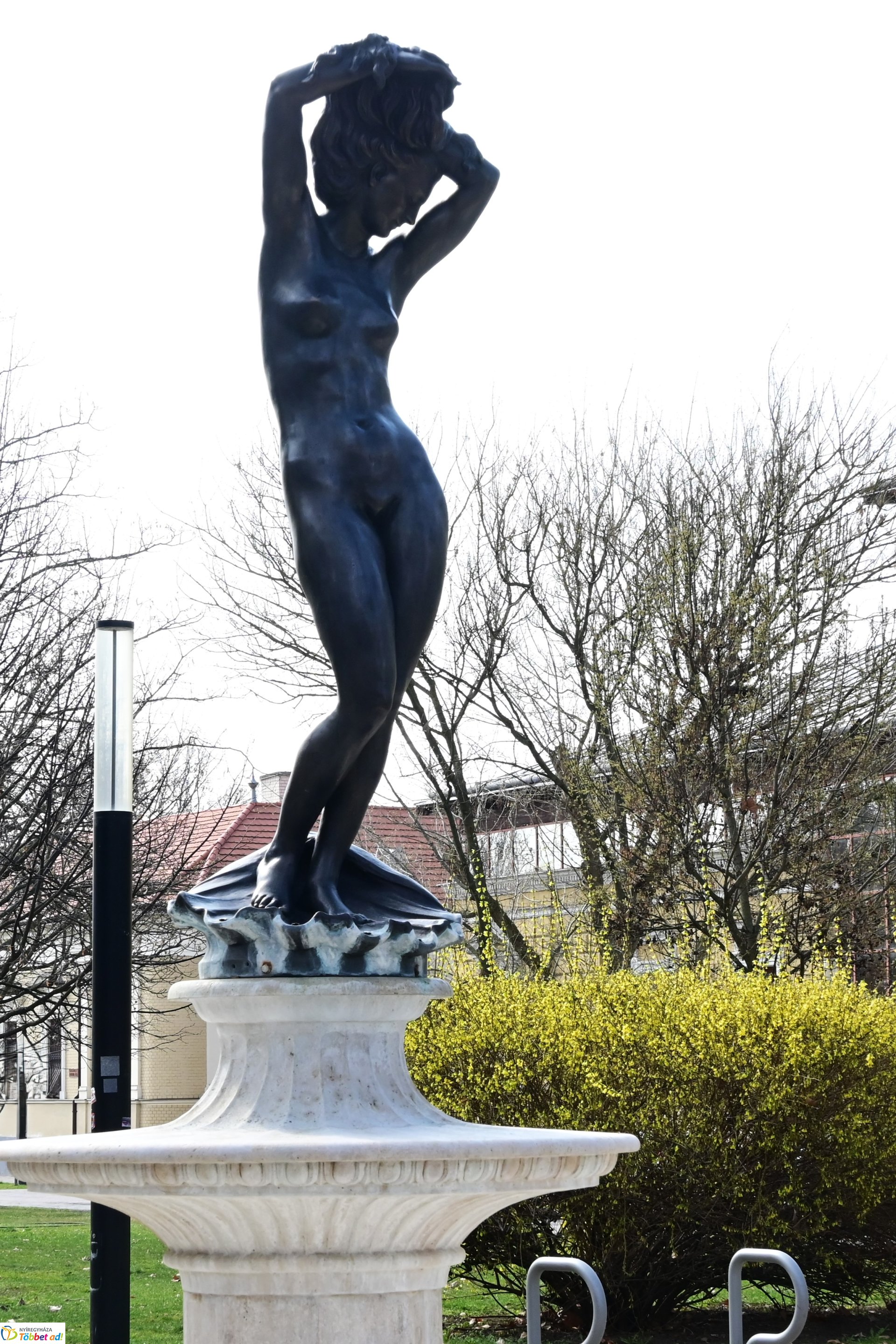 Megérkeztek az első tavaszi virágok a belvárosba