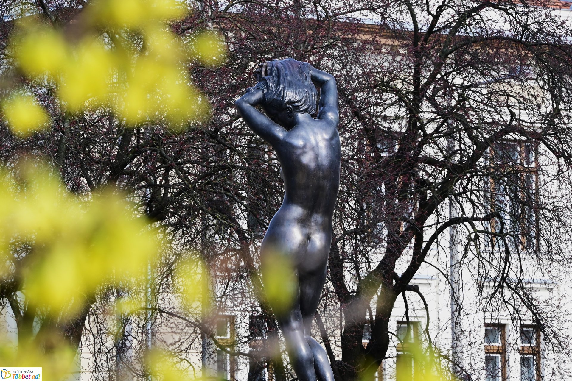 Megérkeztek az első tavaszi virágok a belvárosba