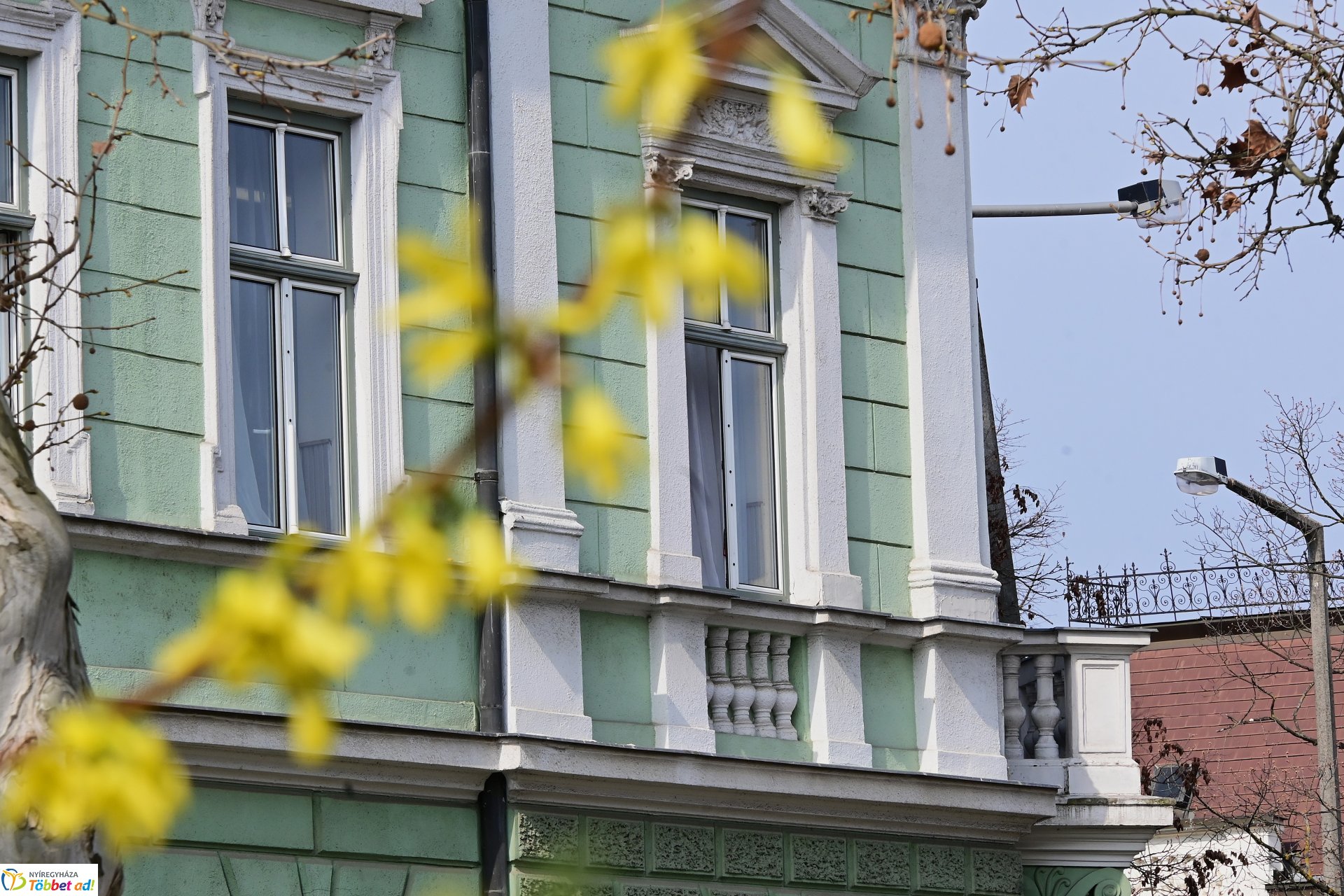 Megérkeztek az első tavaszi virágok a belvárosba