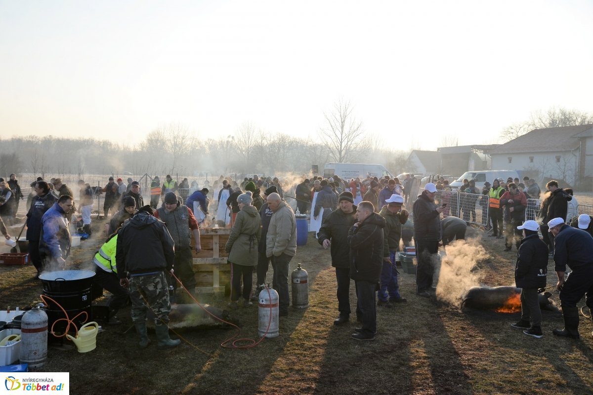 Megkezdődött a Disznótoros Fesztivál