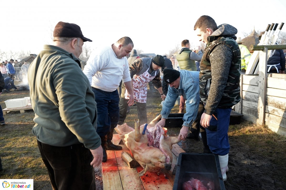 Megkezdődött a Disznótoros Fesztivál