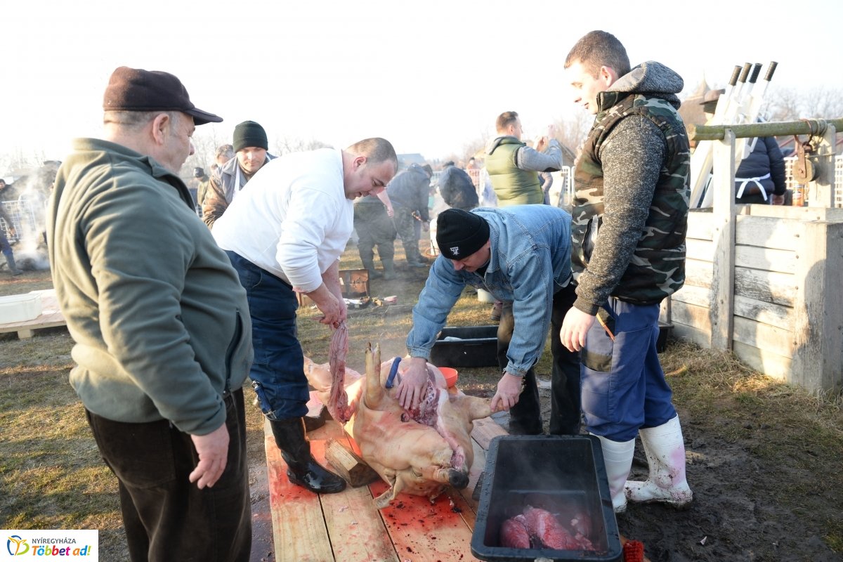 Megkezdődött a Disznótoros Fesztivál