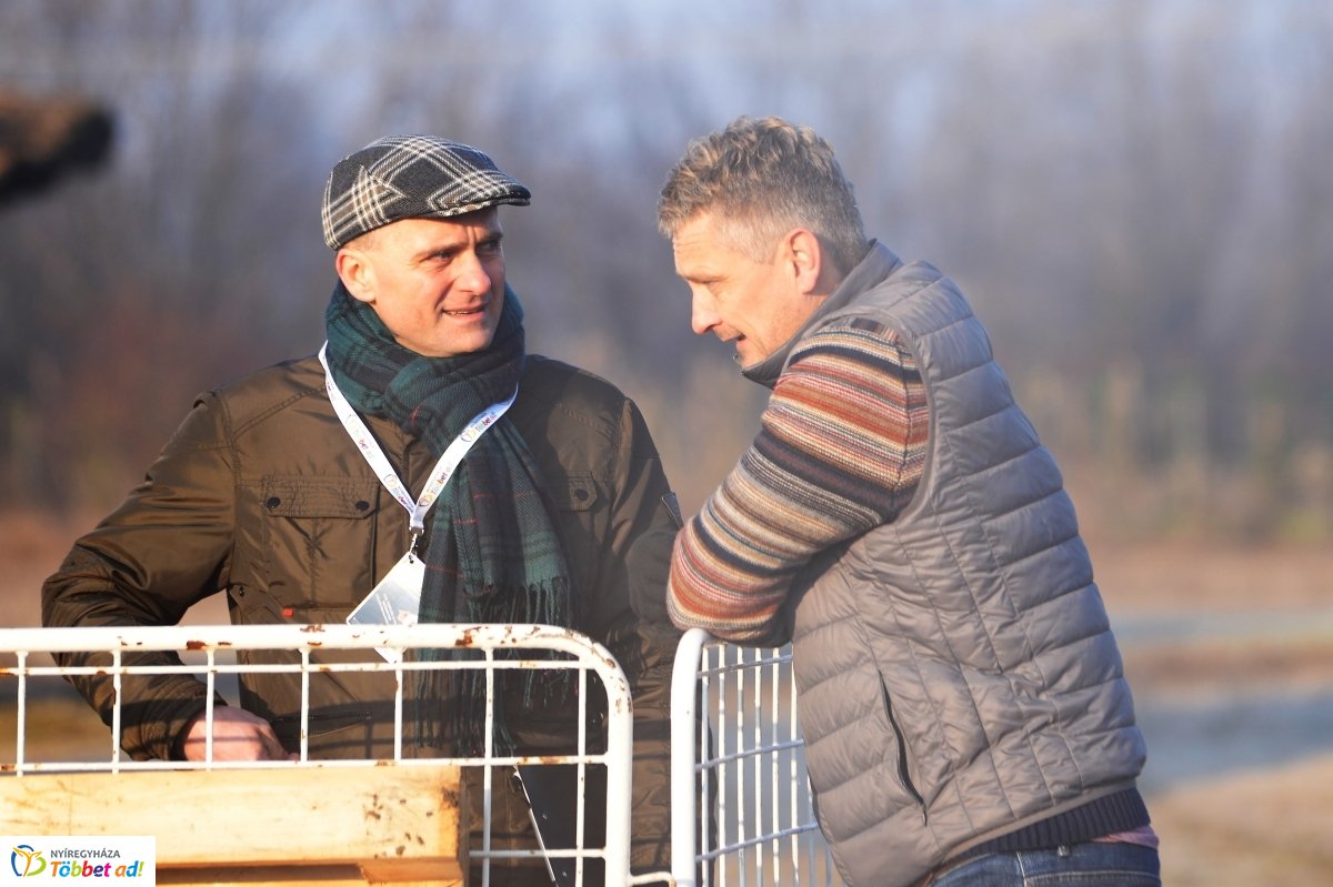 Megkezdődött a Disznótoros Fesztivál