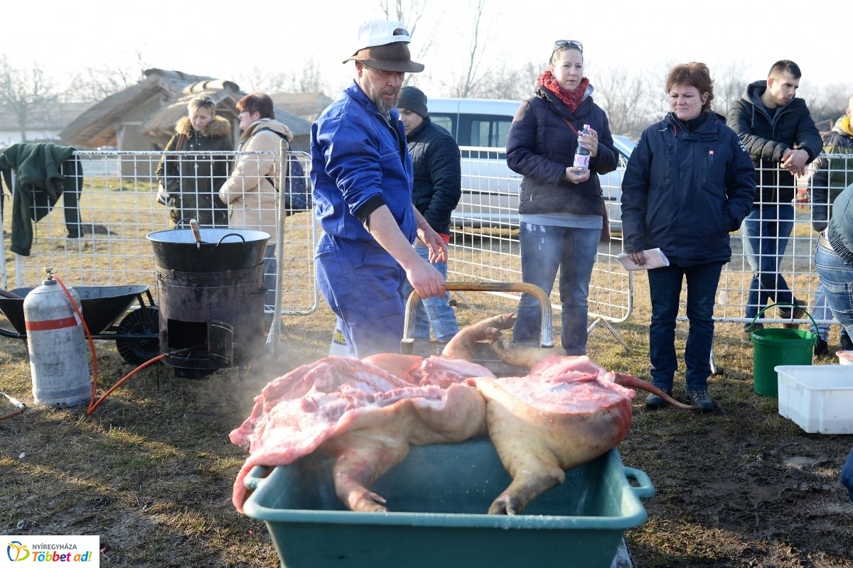 Megkezdődött a Disznótoros Fesztivál