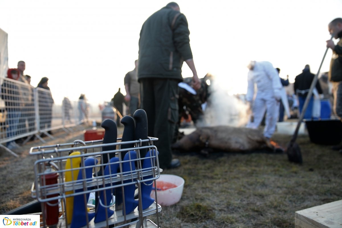 Megkezdődött a Disznótoros Fesztivál