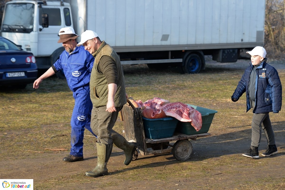 Megkezdődött a Disznótoros Fesztivál