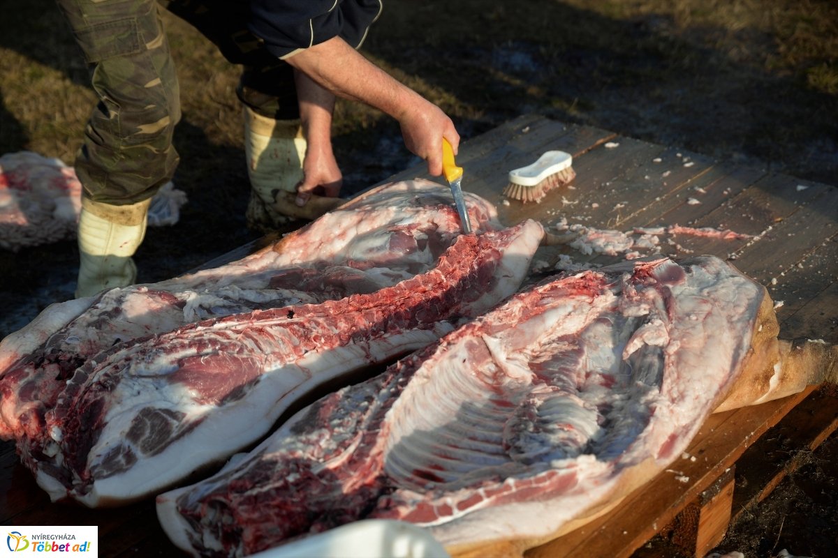 Megkezdődött a Disznótoros Fesztivál