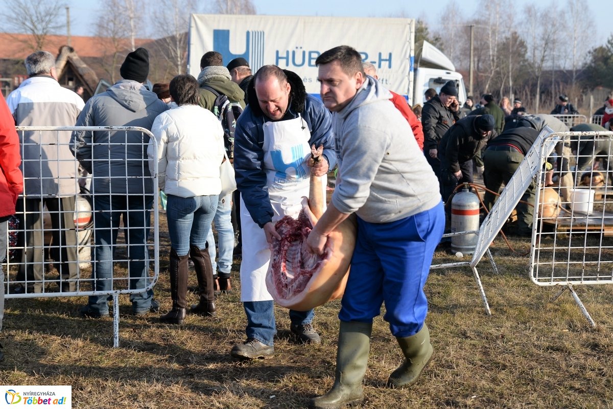 Megkezdődött a Disznótoros Fesztivál