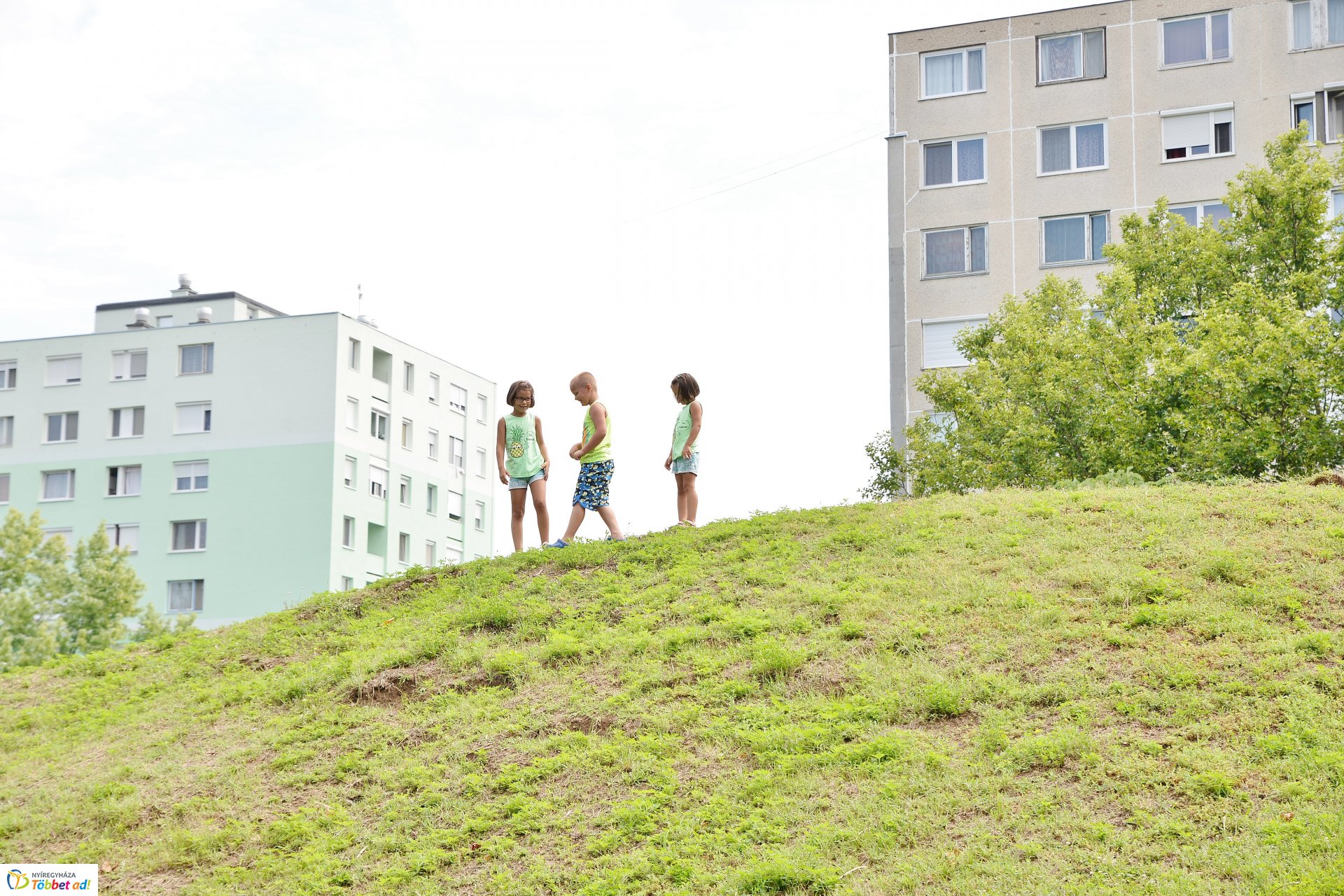 Megkezdődött a Robinson domb felújítása