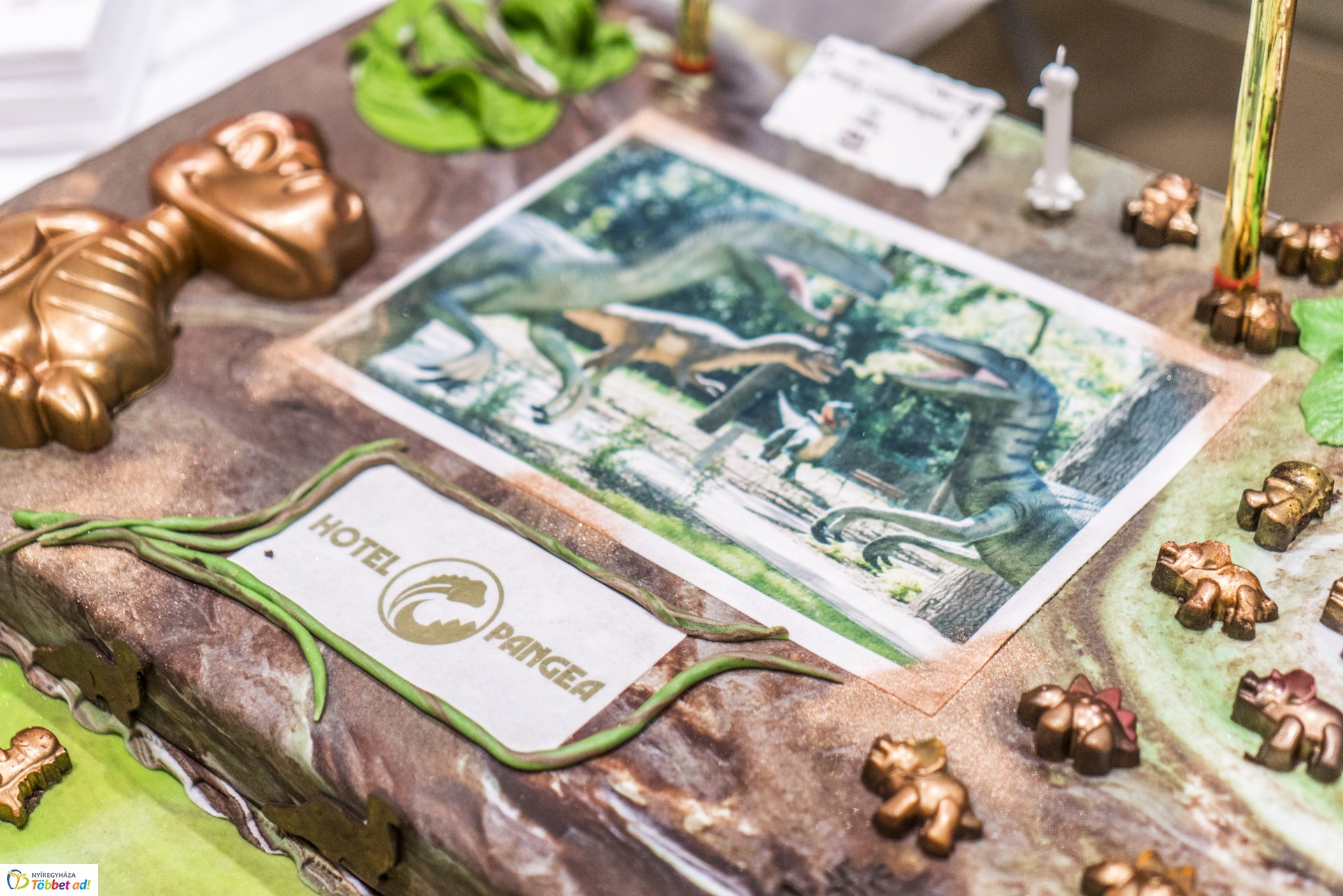 Megtartotta első születésnapját a Hotel Pangea