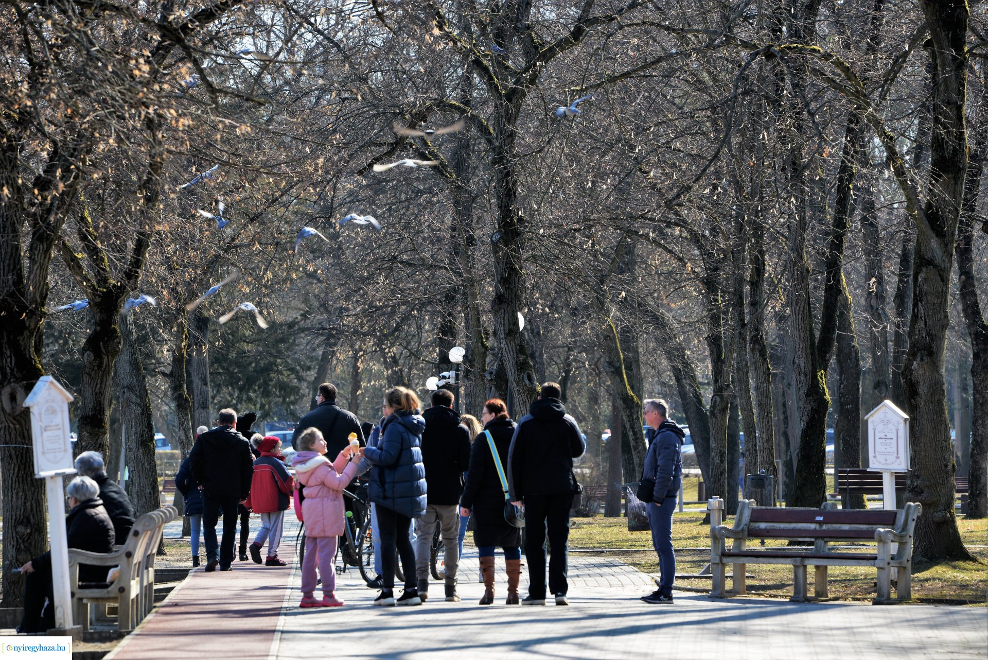 Megtelt Sóstó a tavaszi napsütésben